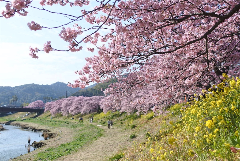 f:id:youseeme:20250331193848j:image