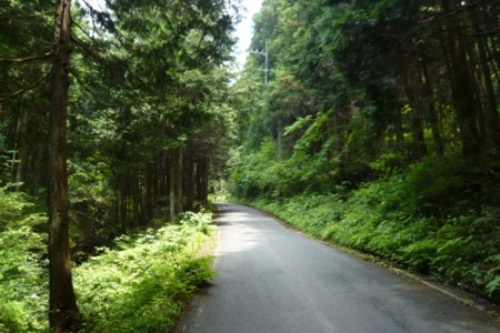 f:id:yousendmelove:20110604124507j:image f:id:yousendmelove:20110604124507j:image