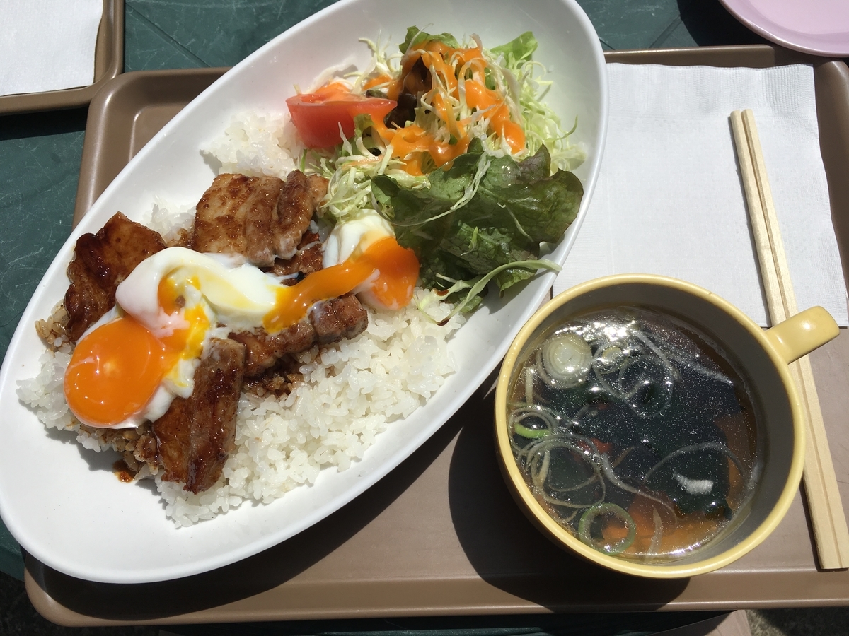 f:id:youshiken:20190420200454j:plain f:id:youshiken:20190420200454j:plain