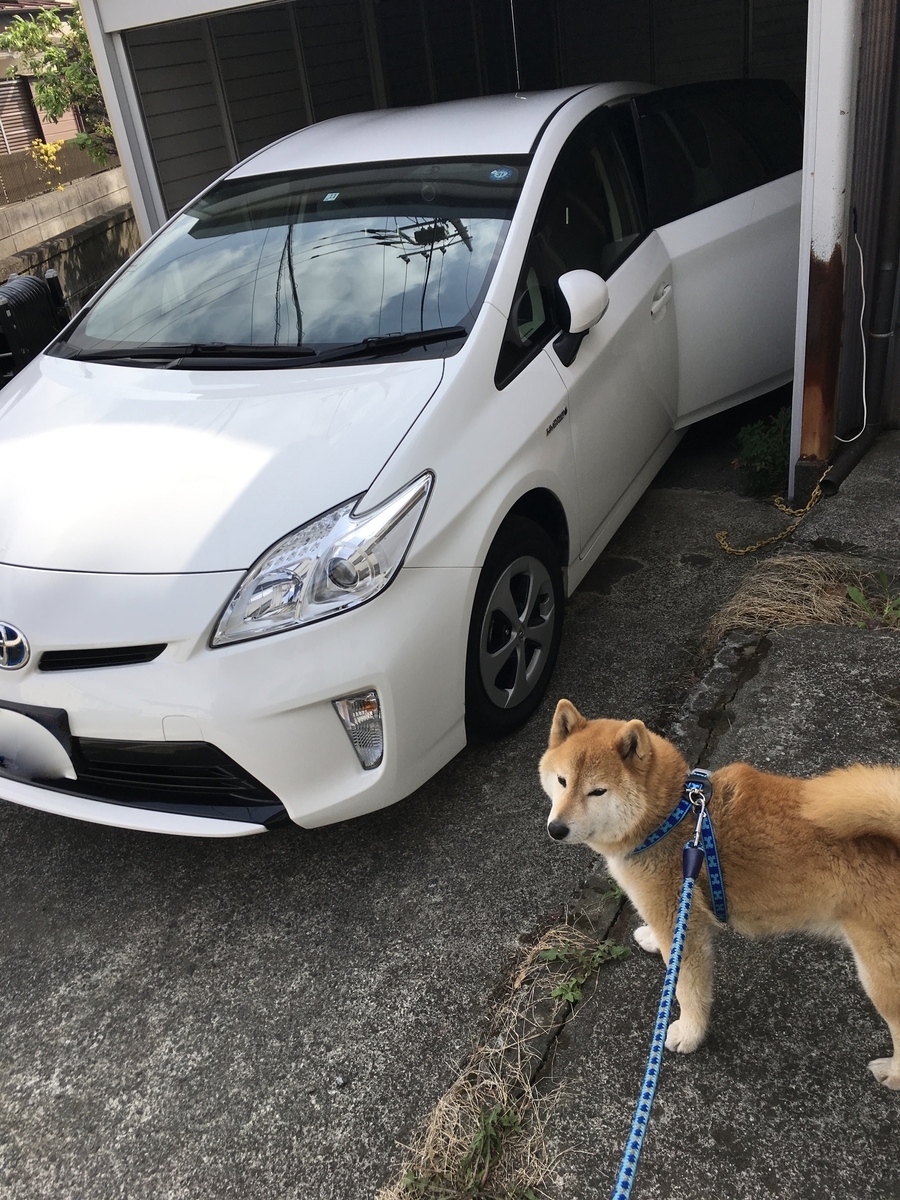 f:id:youshiken:20190420211952j:plain f:id:youshiken:20190420211952j:plain
