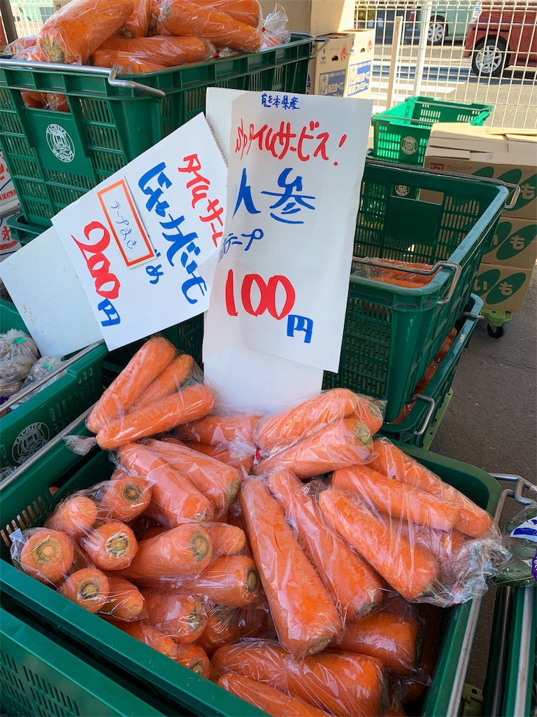f:id:youske33333333:20190127111922j:image f:id:youske33333333:20190127111922j:image