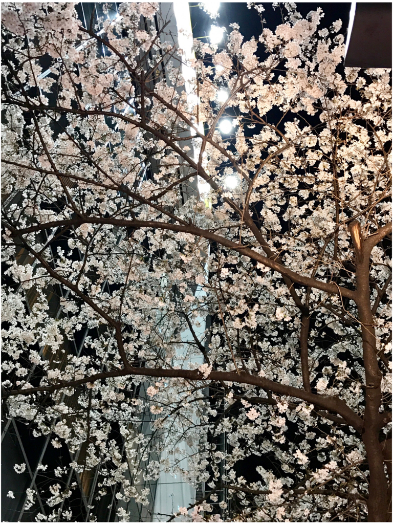 f:id:youstandard:20180326141430j:plain f:id:youstandard:20180326141430j:plain