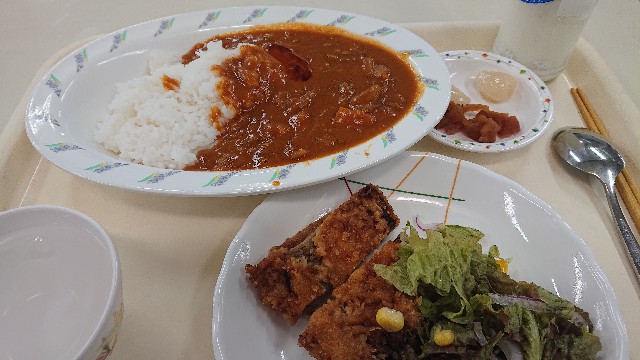 金曜日はカレーの日 うしにひかれて 金曜日はカレーの日 うしにひかれて
