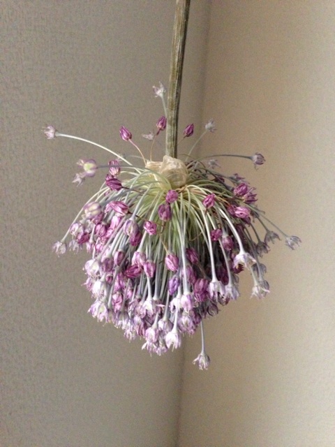 f:id:youtalkingtome:20140826163332j:plain f:id:youtalkingtome:20140826163332j:plain