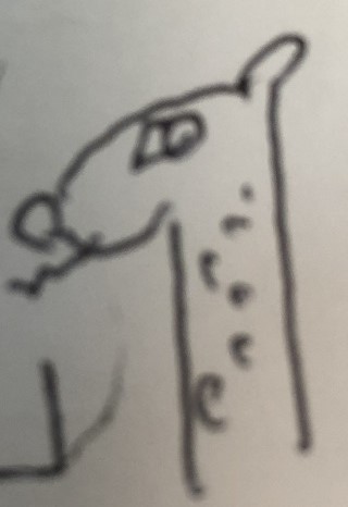 f:id:youtanman3362:20190112124657j:plain f:id:youtanman3362:20190112124657j:plain