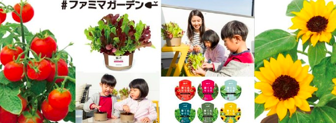 育てるサラダ はファミマで購入可能 自由研究にも活用できると話題に 全国17 300店舗で順次発売中 Rakugaki