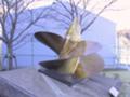 20060211121835