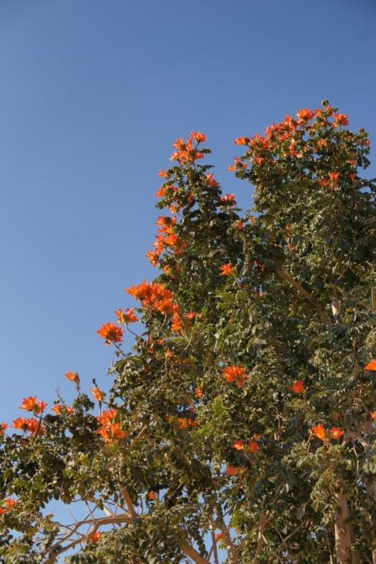 f:id:yow-sky:20120715194218j:image:w220:left f:id:yow-sky:20120715194218j:image:w220:left