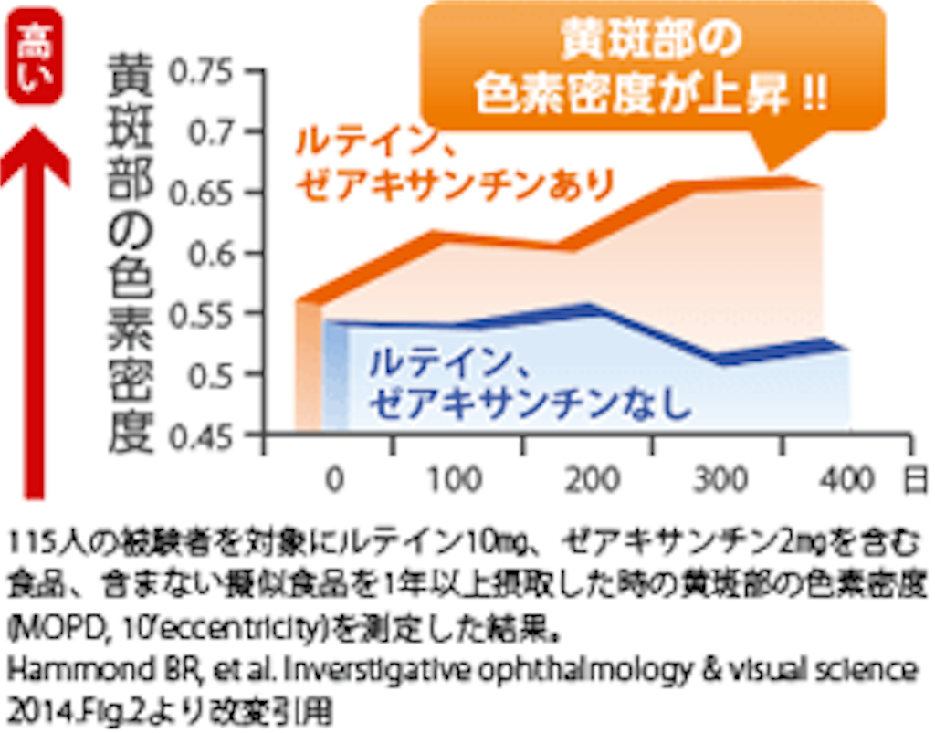 f:id:yowoichi43:20190618204917p:image f:id:yowoichi43:20190618204917p:image