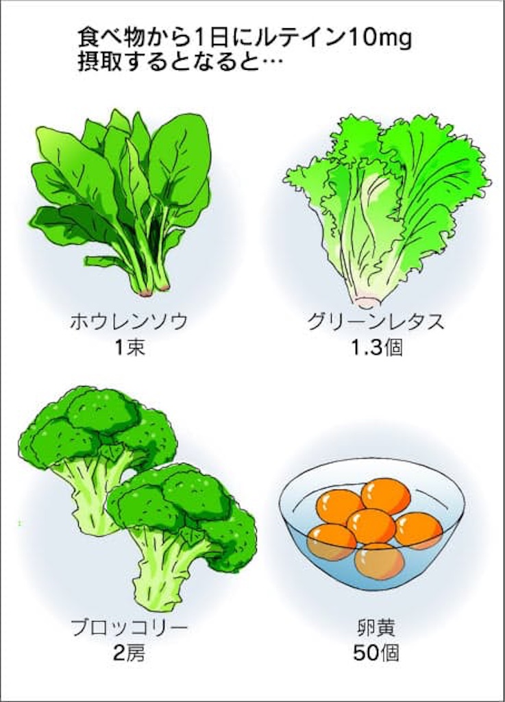 f:id:yowoichi43:20190618210537j:image f:id:yowoichi43:20190618210537j:image