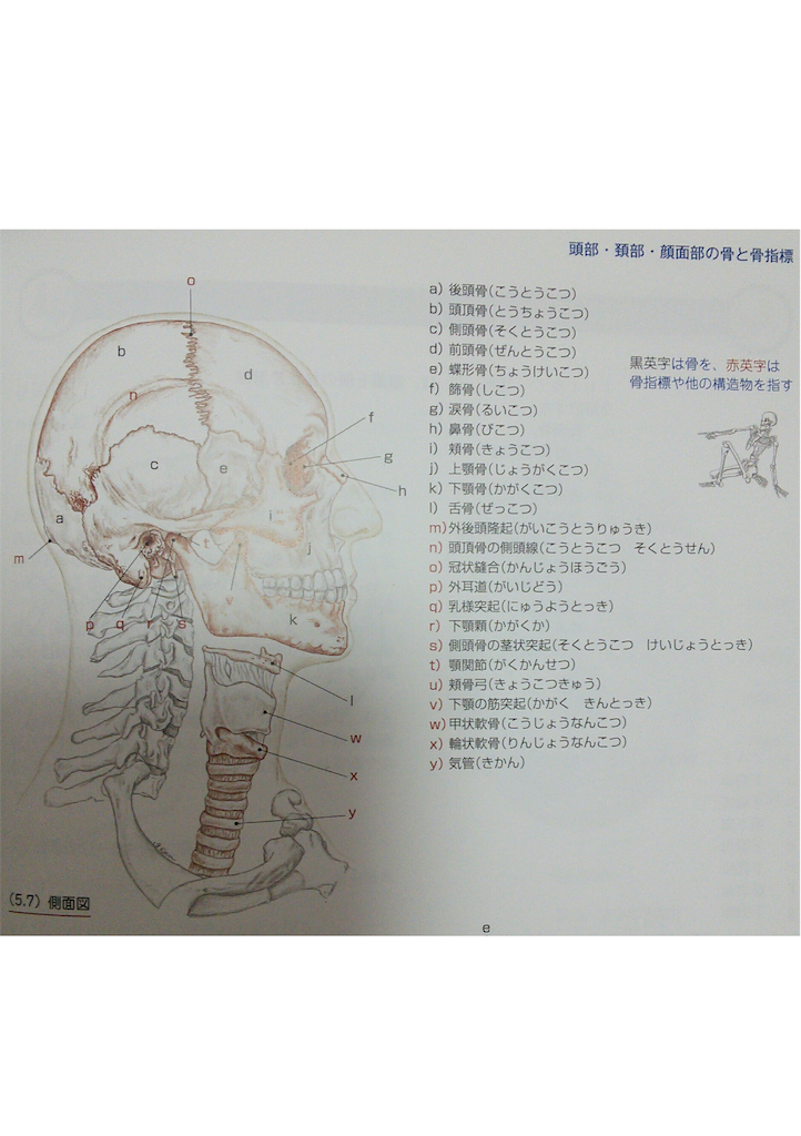 f:id:yoyoko-445:20200916185111p:image f:id:yoyoko-445:20200916185111p:image