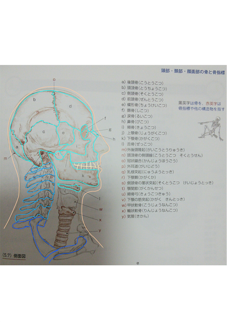 f:id:yoyoko-445:20200916185422p:image f:id:yoyoko-445:20200916185422p:image