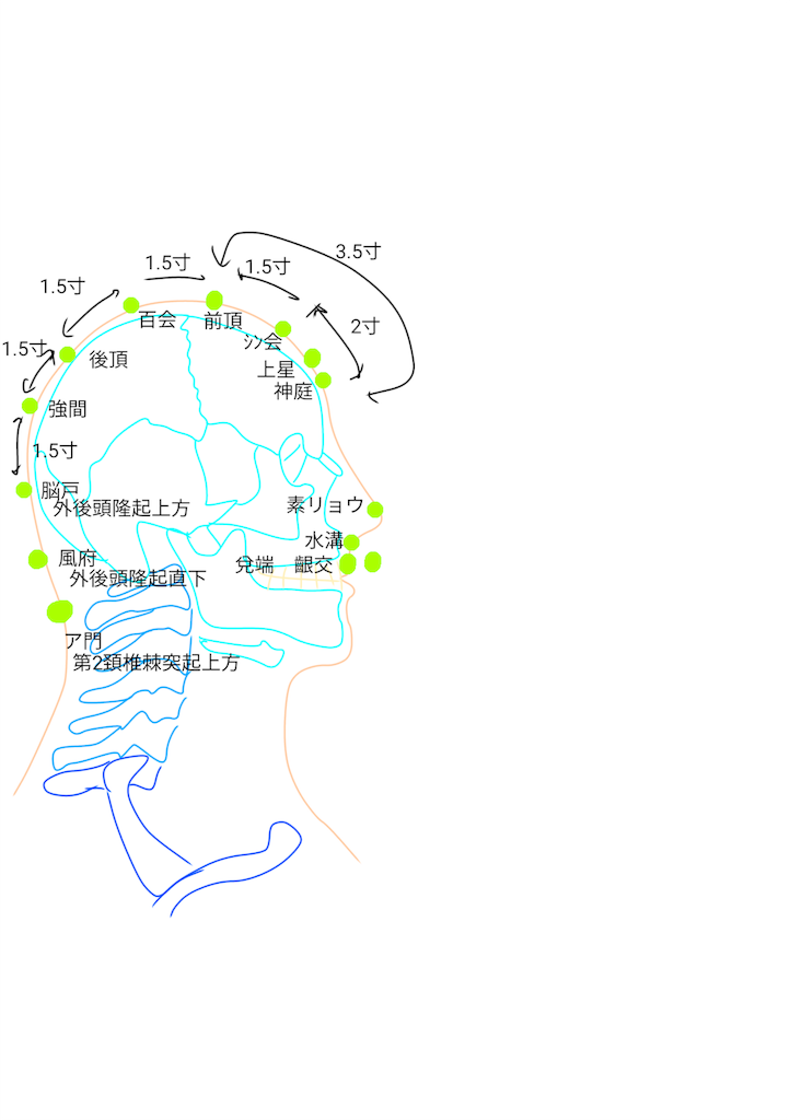 f:id:yoyoko-445:20200917074450p:image f:id:yoyoko-445:20200917074450p:image