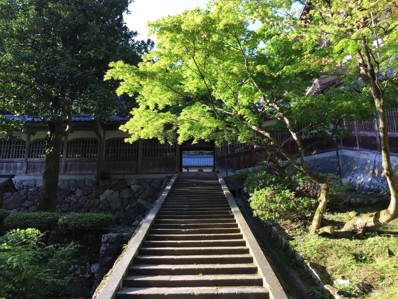 f:id:yoyorinrinyuyu:20150508053149j:image f:id:yoyorinrinyuyu:20150508053149j:image