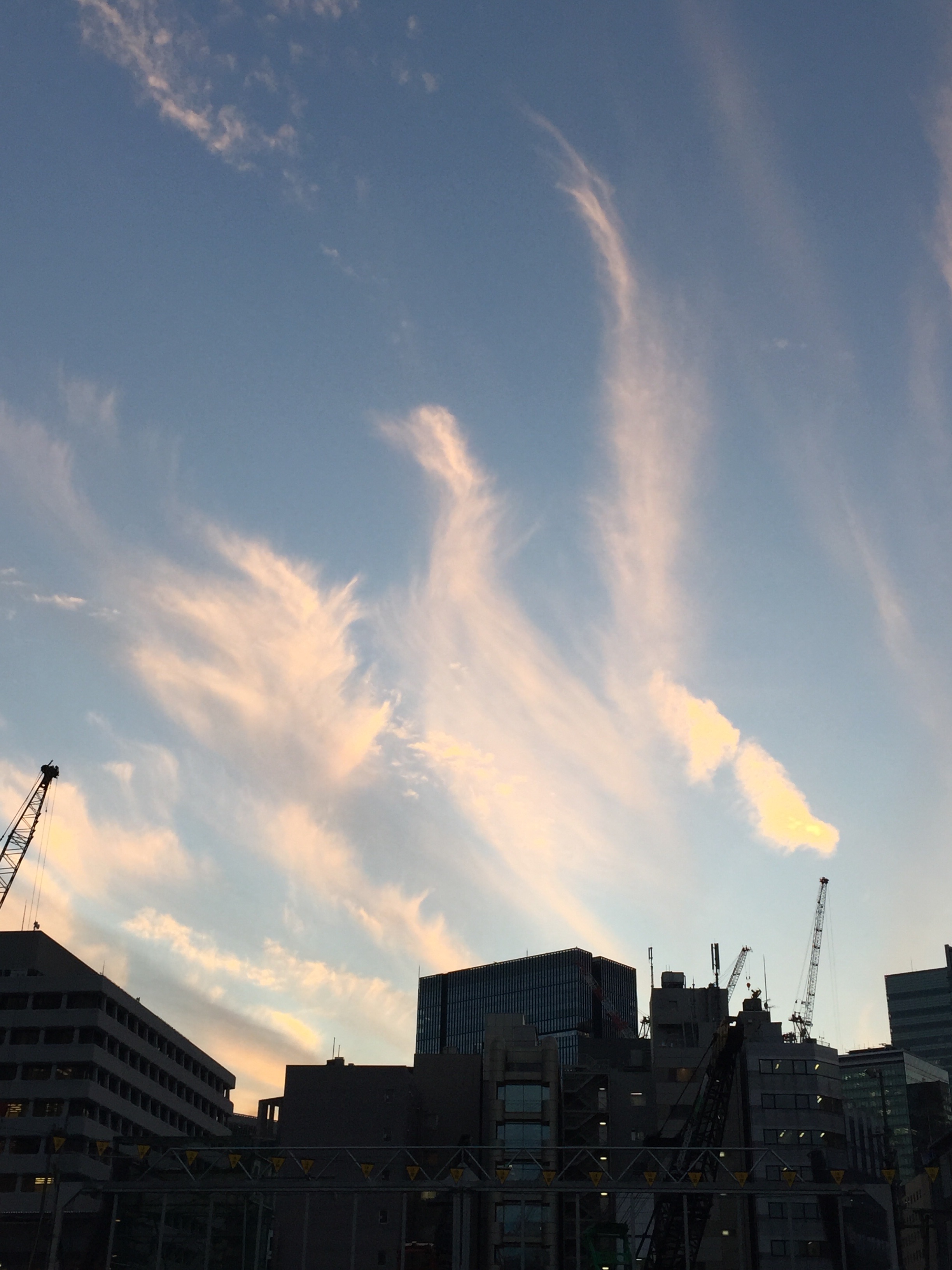 f:id:yoyorinrinyuyu:20161208190516j:image