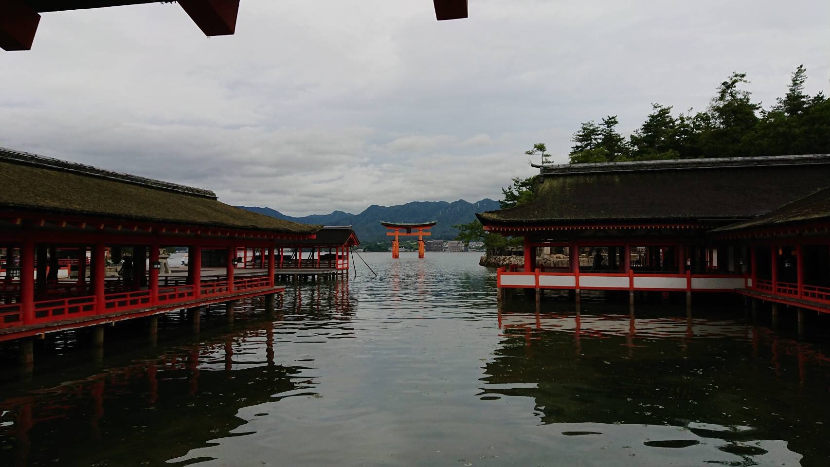 f:id:yoyorinrinyuyu:20170918104549j:plain