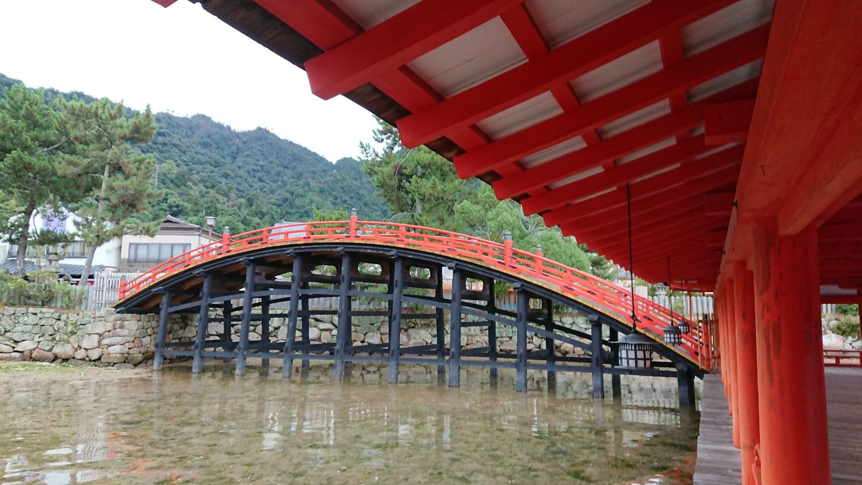 f:id:yoyorinrinyuyu:20170918104620j:plain