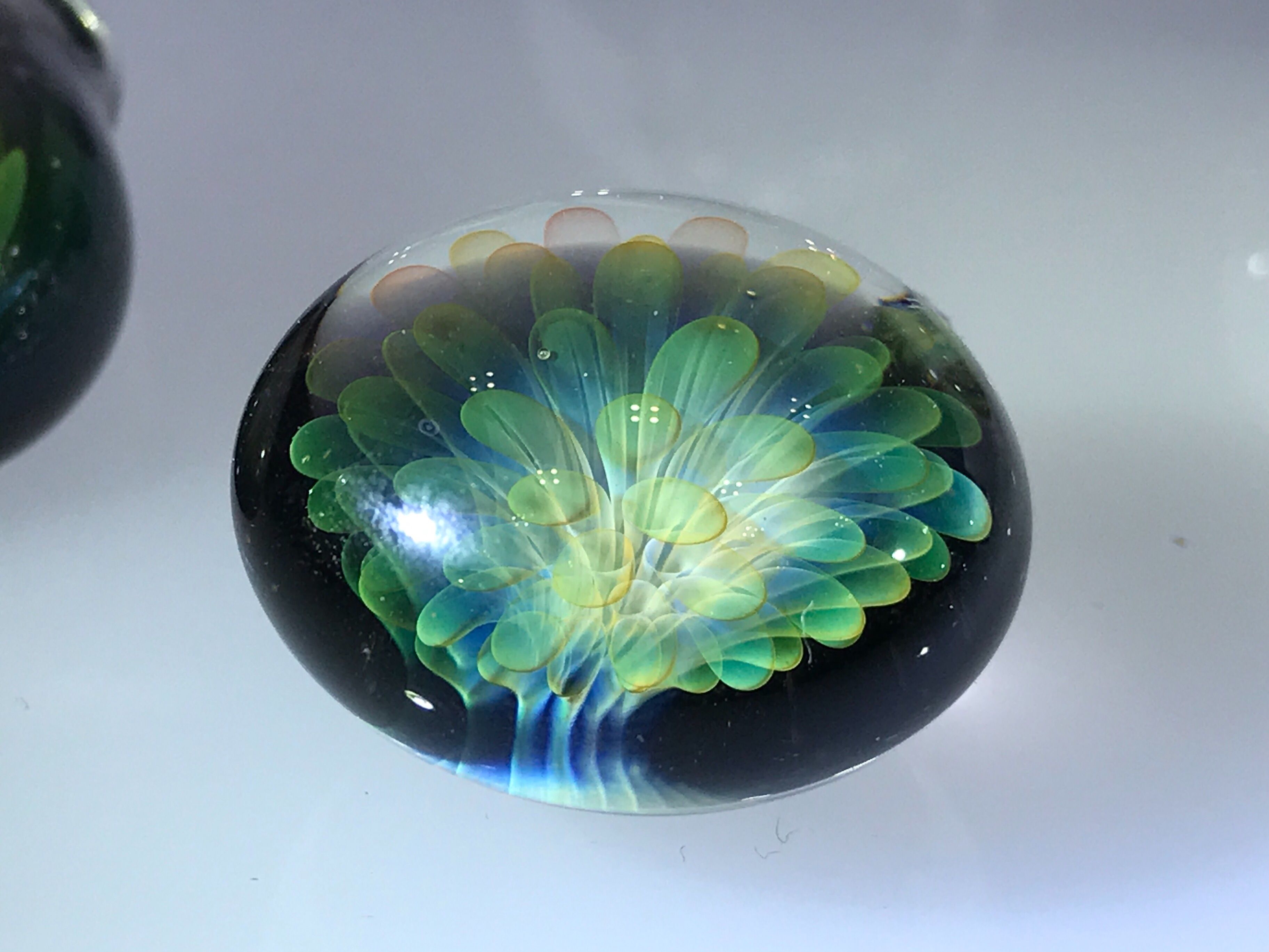 f:id:yoyorinrinyuyu:20171112064542j:image