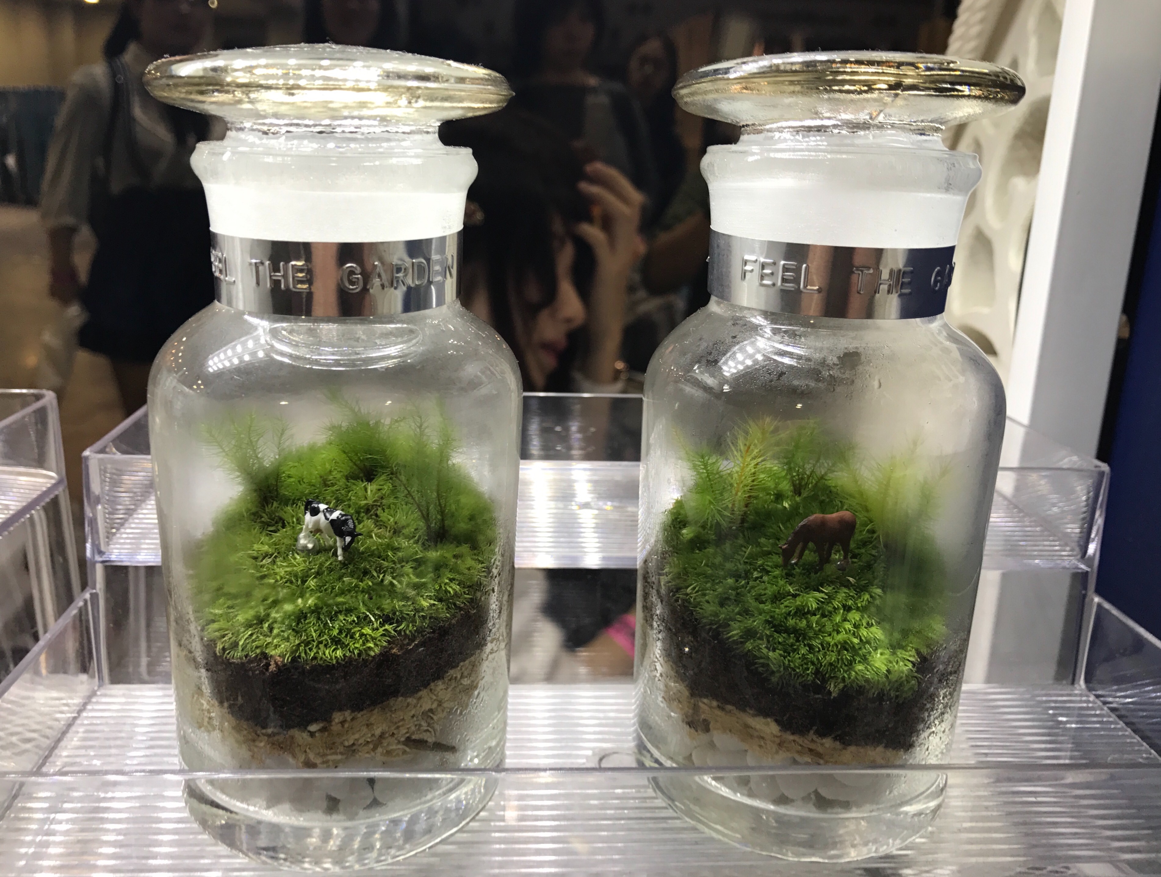 f:id:yoyorinrinyuyu:20171112073710j:image