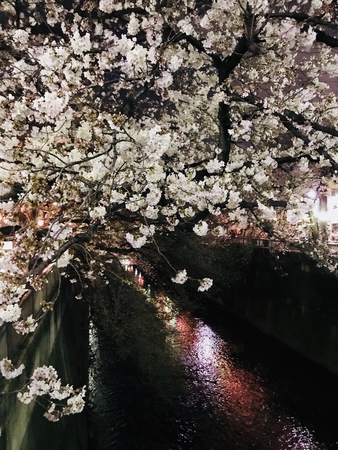 f:id:yoyorinrinyuyu:20180325003748j:image