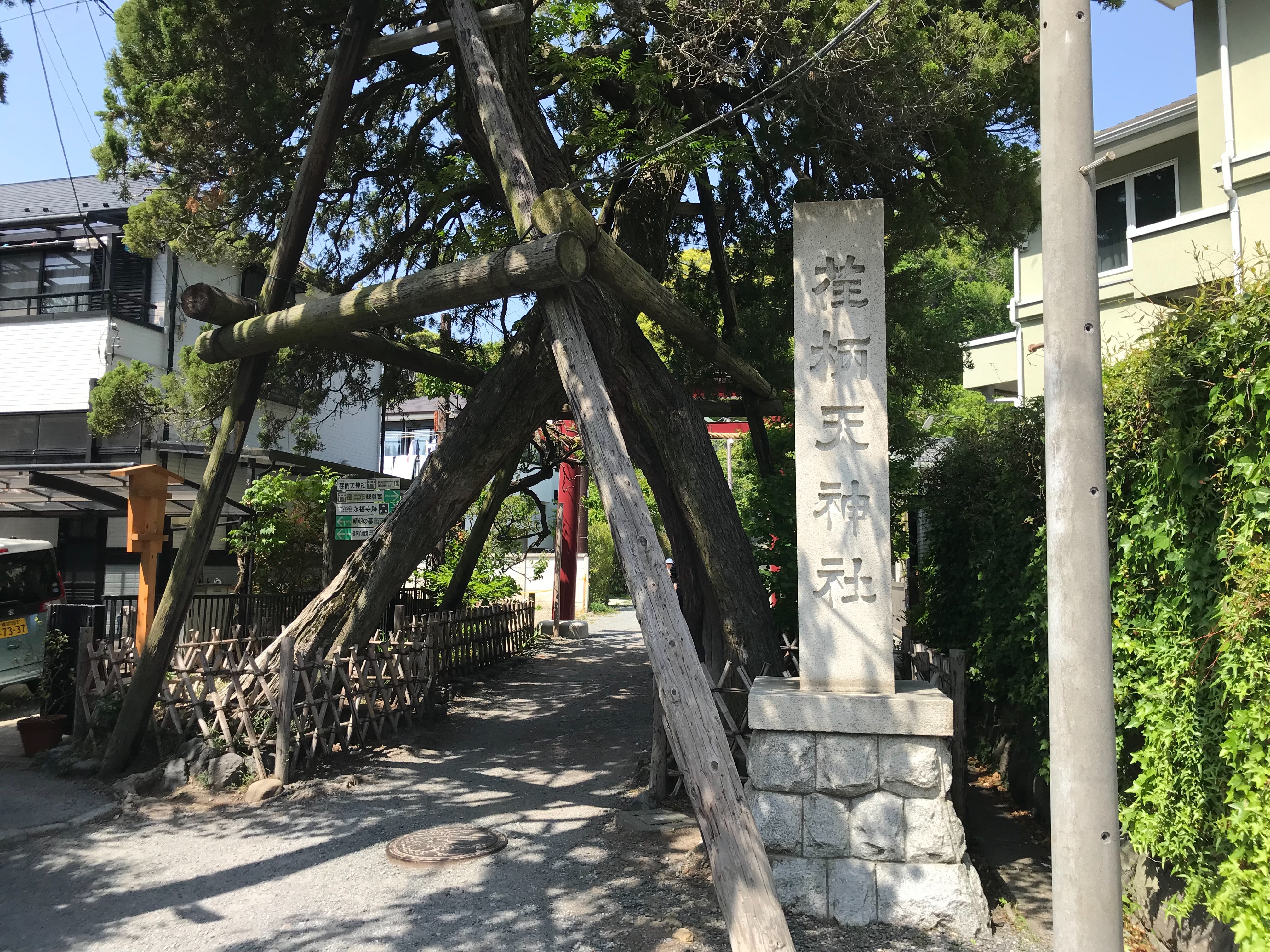 f:id:yoyorinrinyuyu:20180430180425j:image