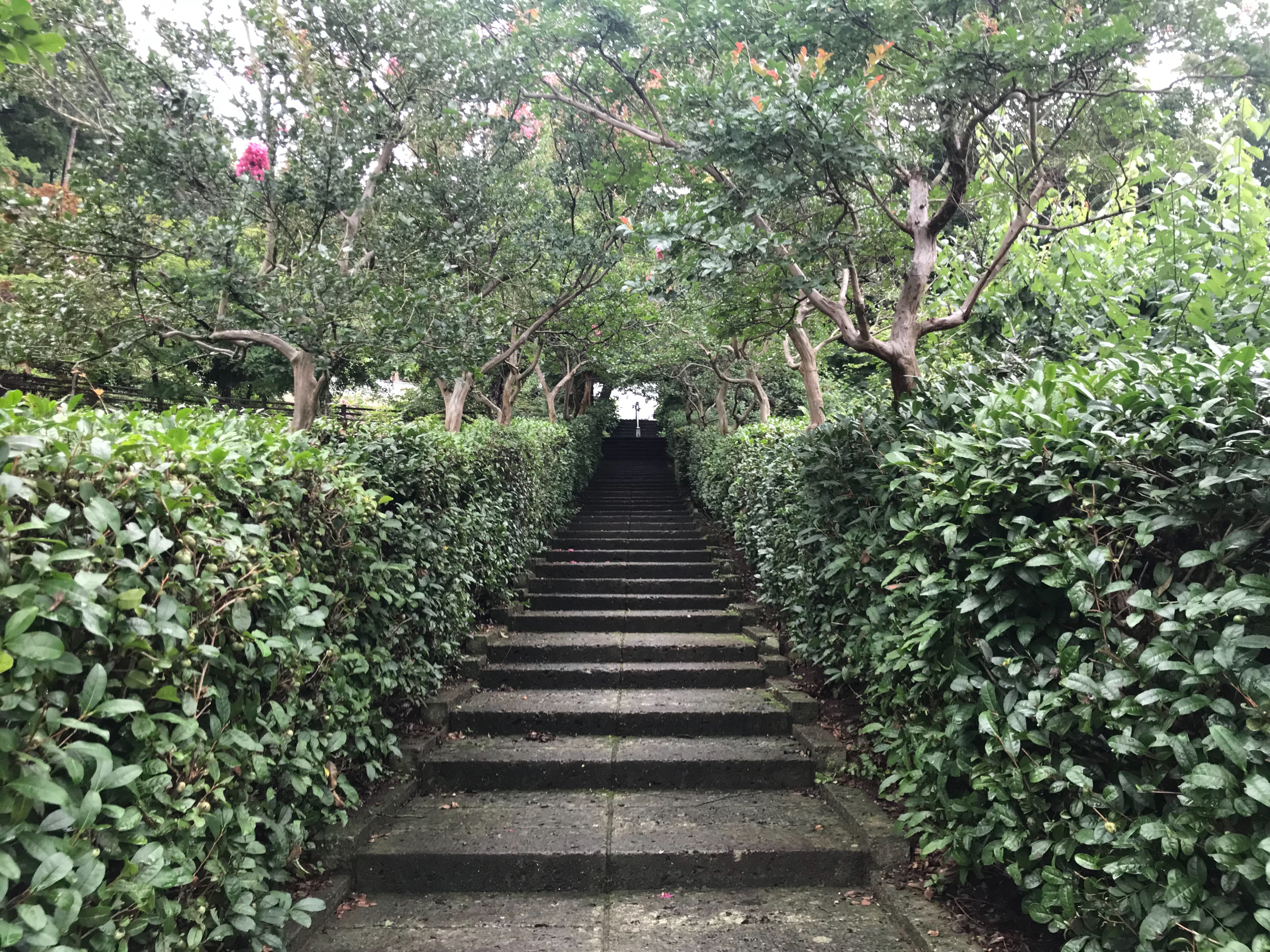 f:id:yoyorinrinyuyu:20180708050751j:image