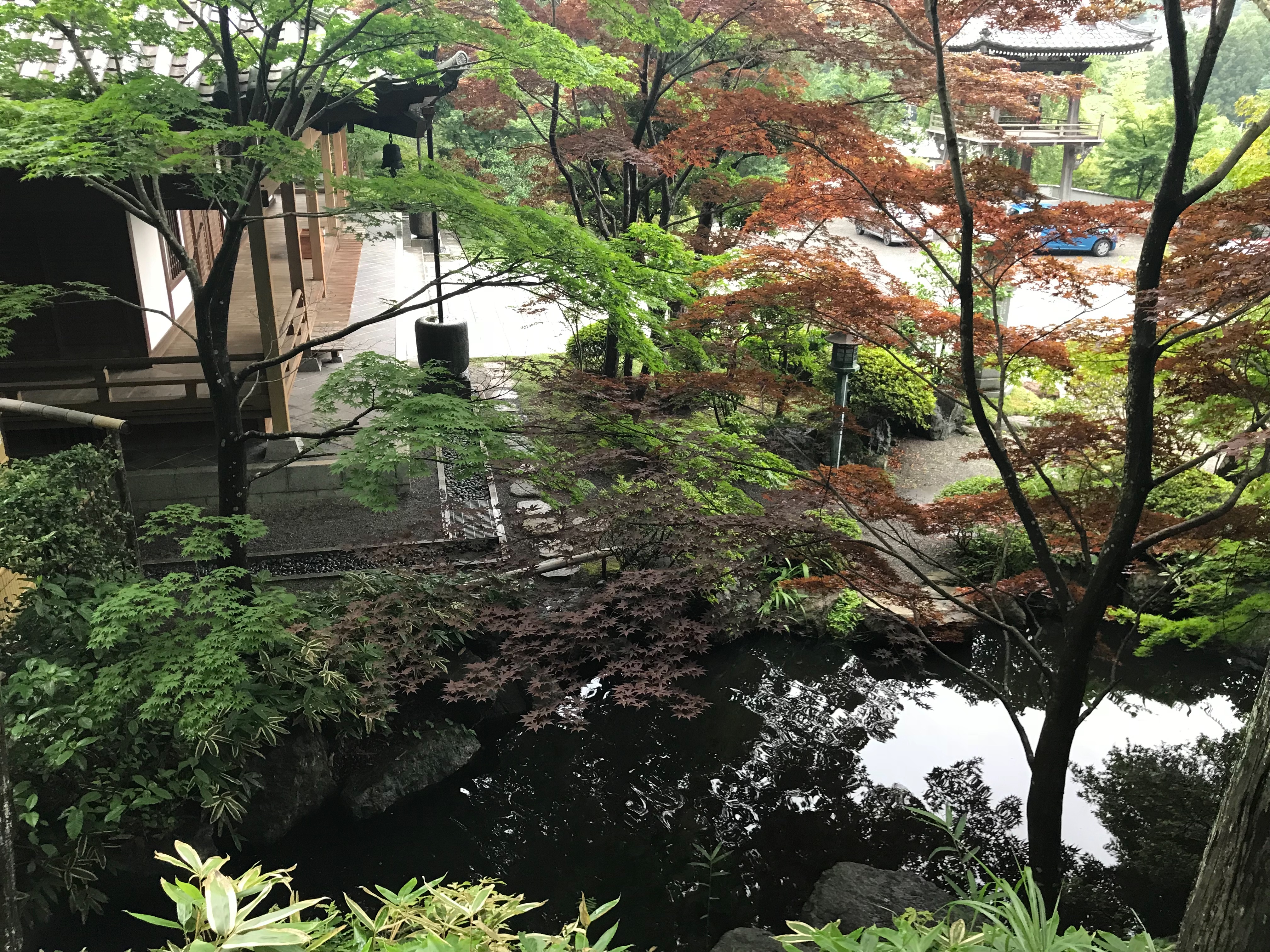 f:id:yoyorinrinyuyu:20180708051005j:image