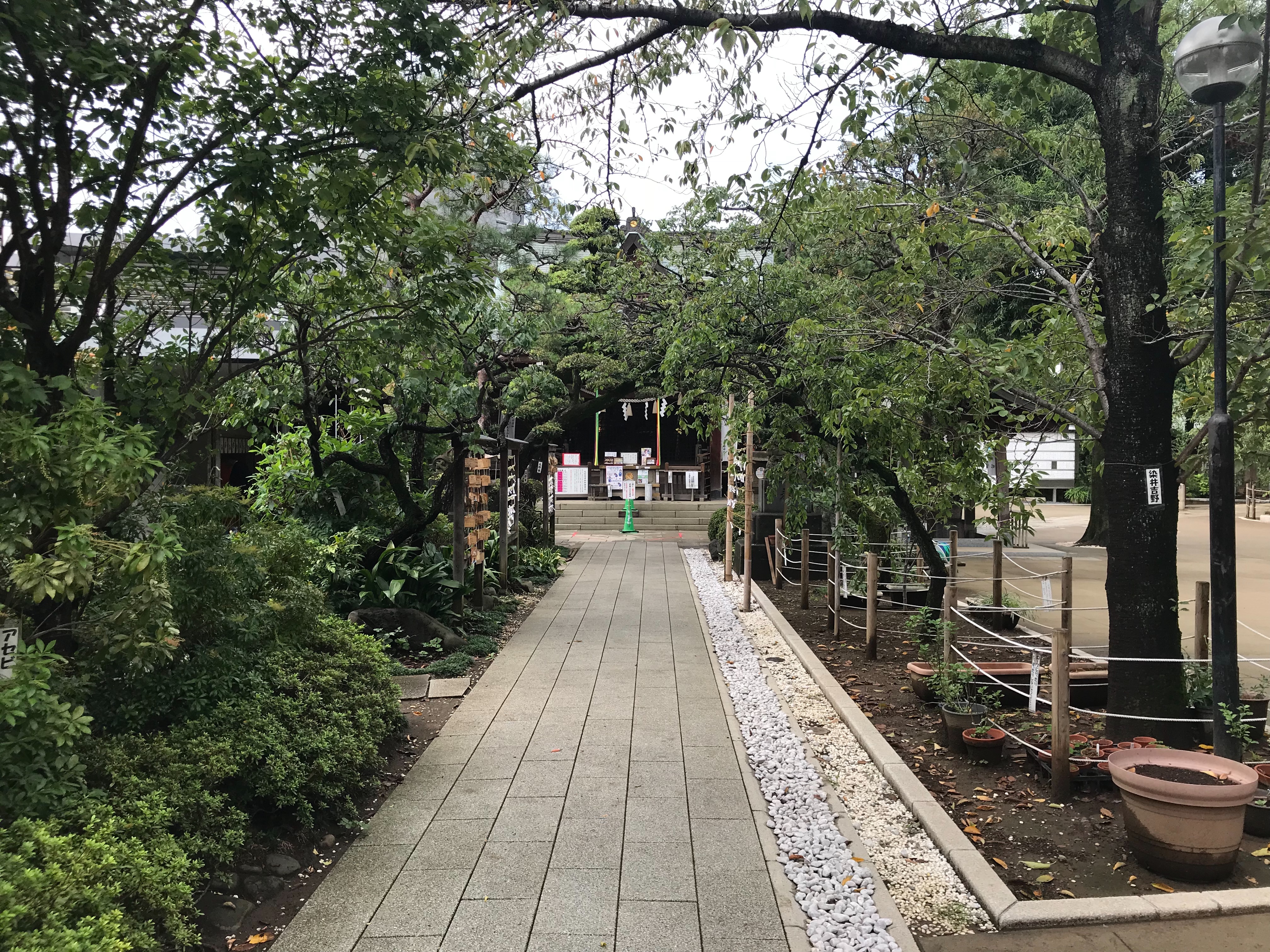 f:id:yoyorinrinyuyu:20180922205959j:image