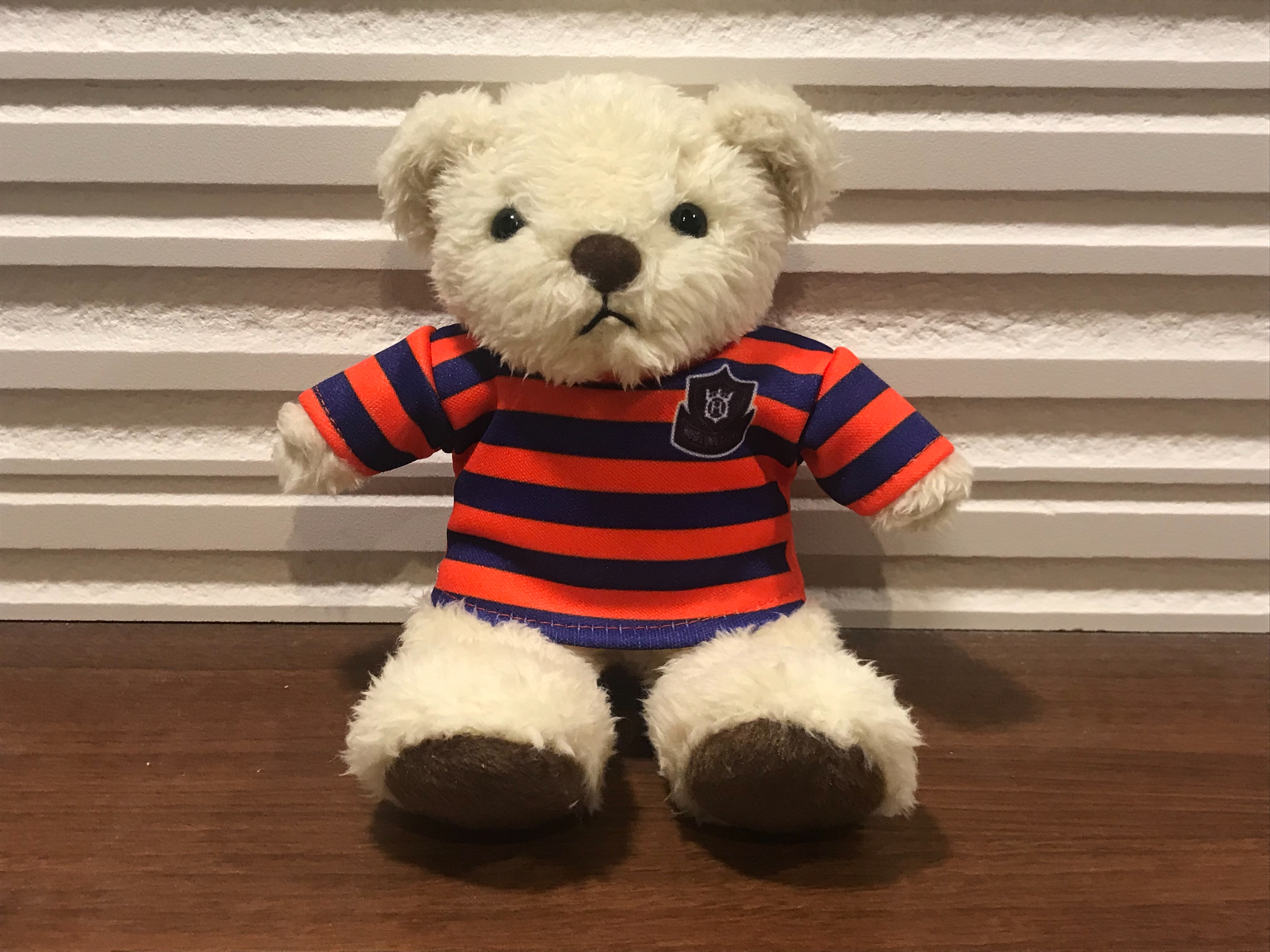 f:id:yoyorinrinyuyu:20181014065052j:image