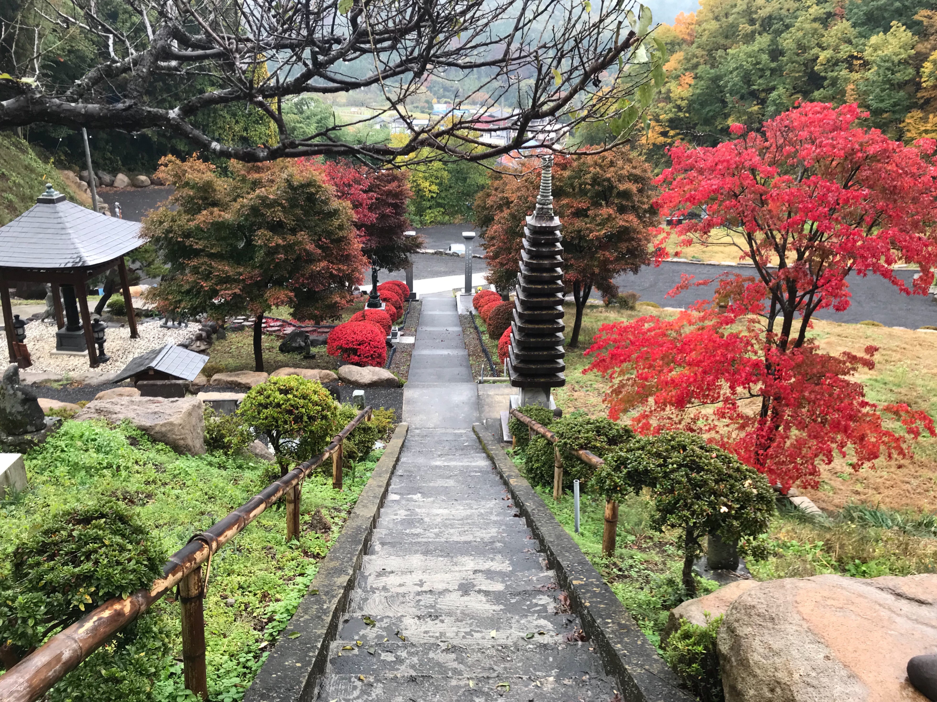 f:id:yoyorinrinyuyu:20181109142658j:image