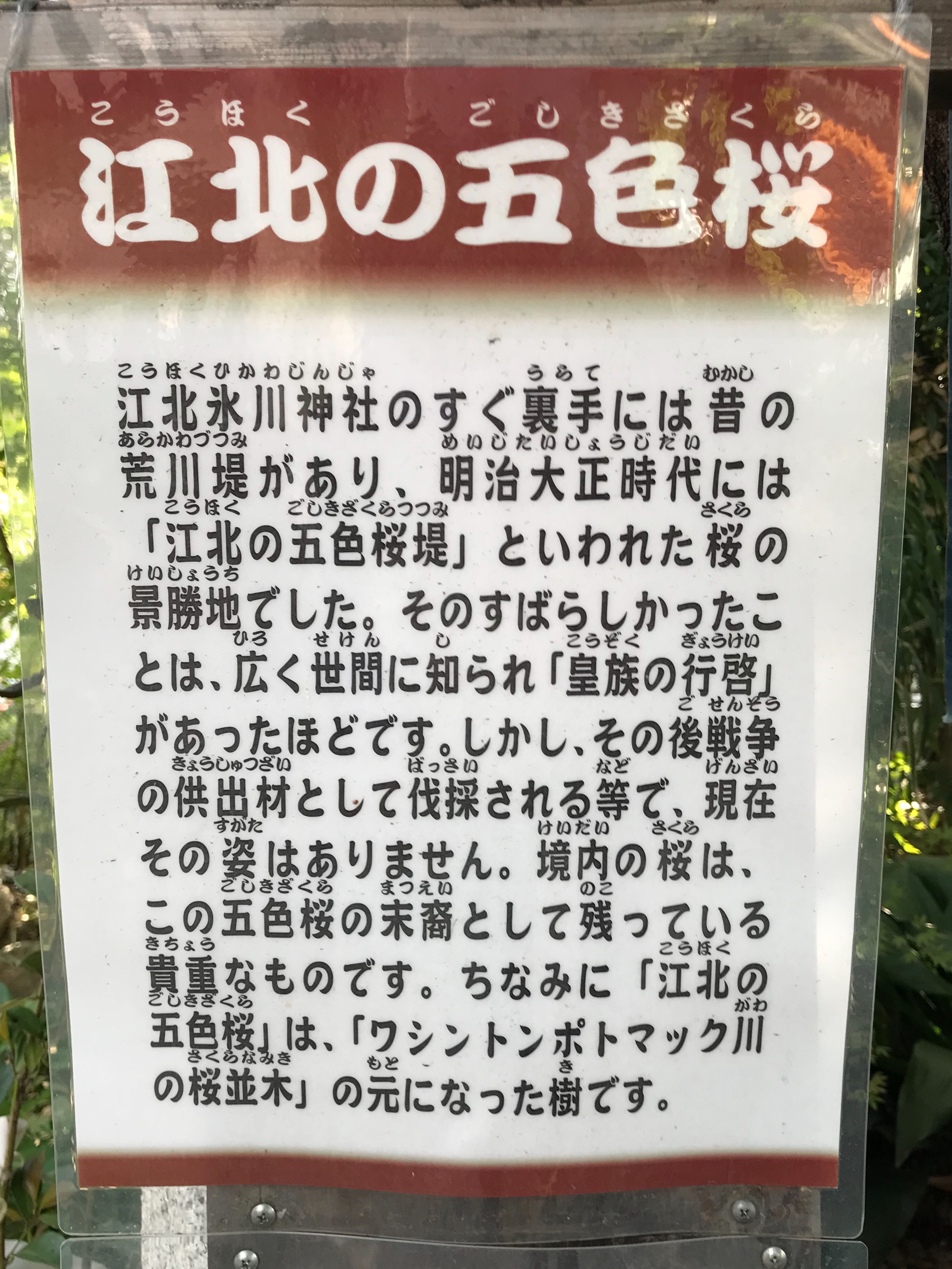 f:id:yoyorinrinyuyu:20190506064812j:image