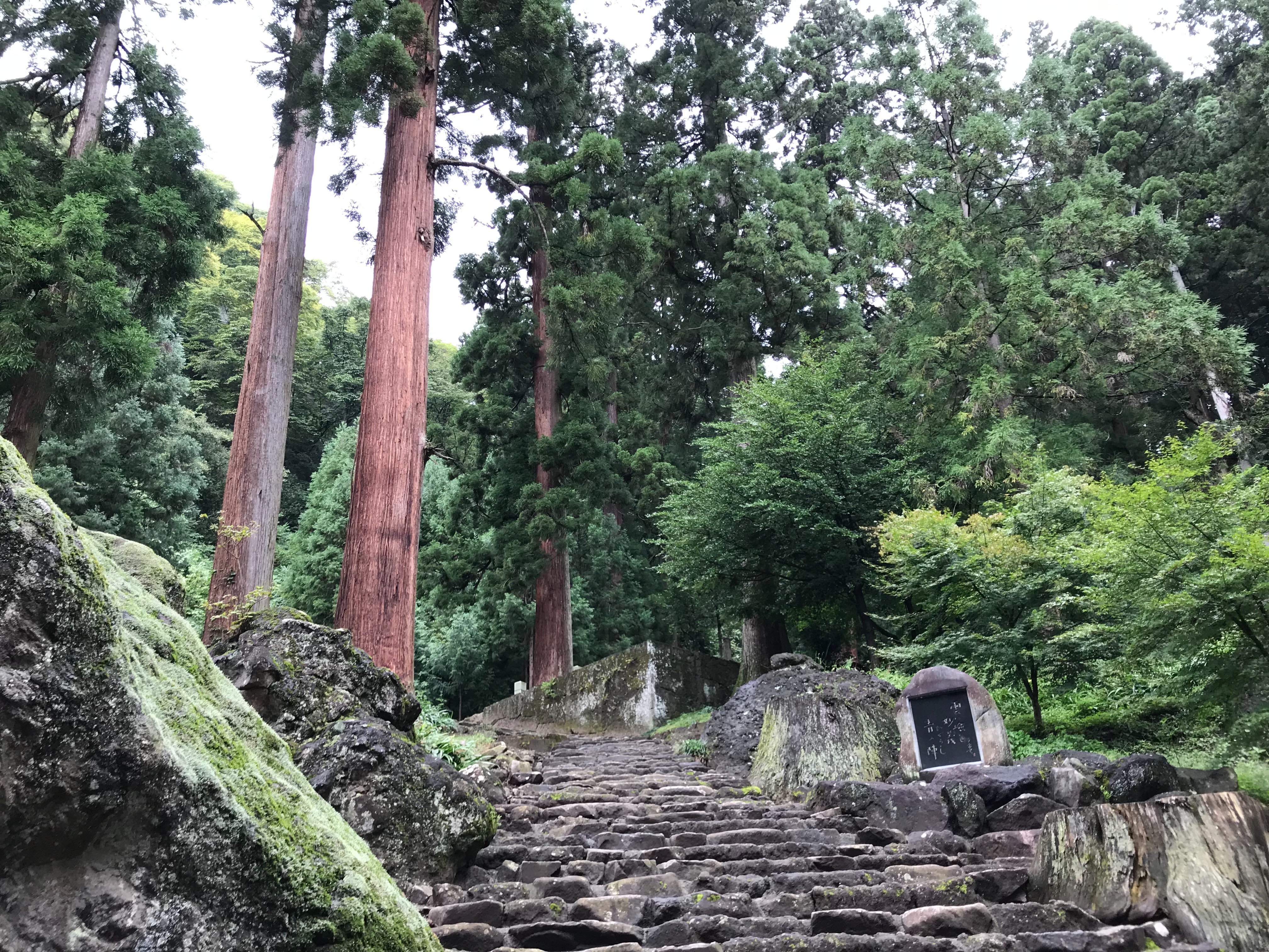 f:id:yoyorinrinyuyu:20190924065915j:image
