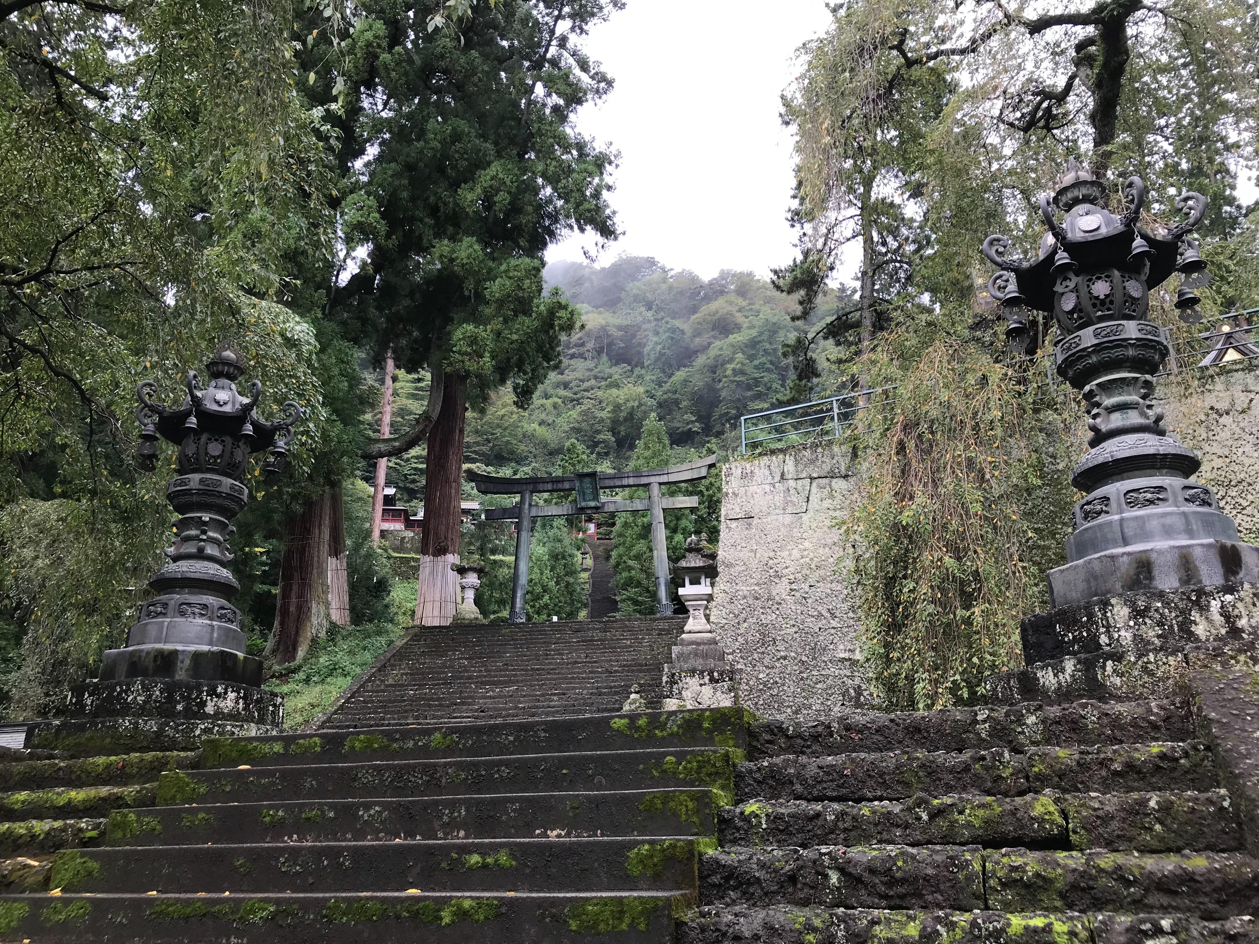f:id:yoyorinrinyuyu:20190924070147j:image