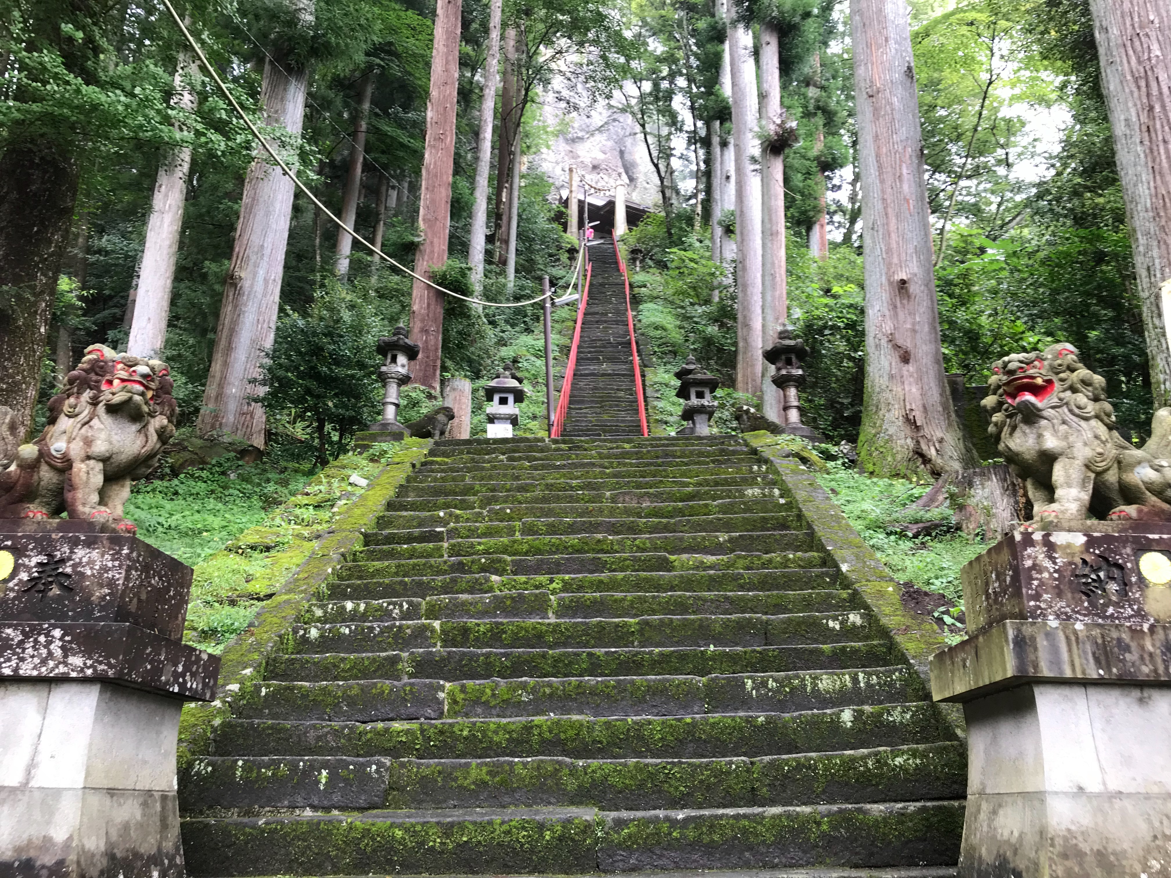 f:id:yoyorinrinyuyu:20190924070706j:image f:id:yoyorinrinyuyu:20190924070706j:image