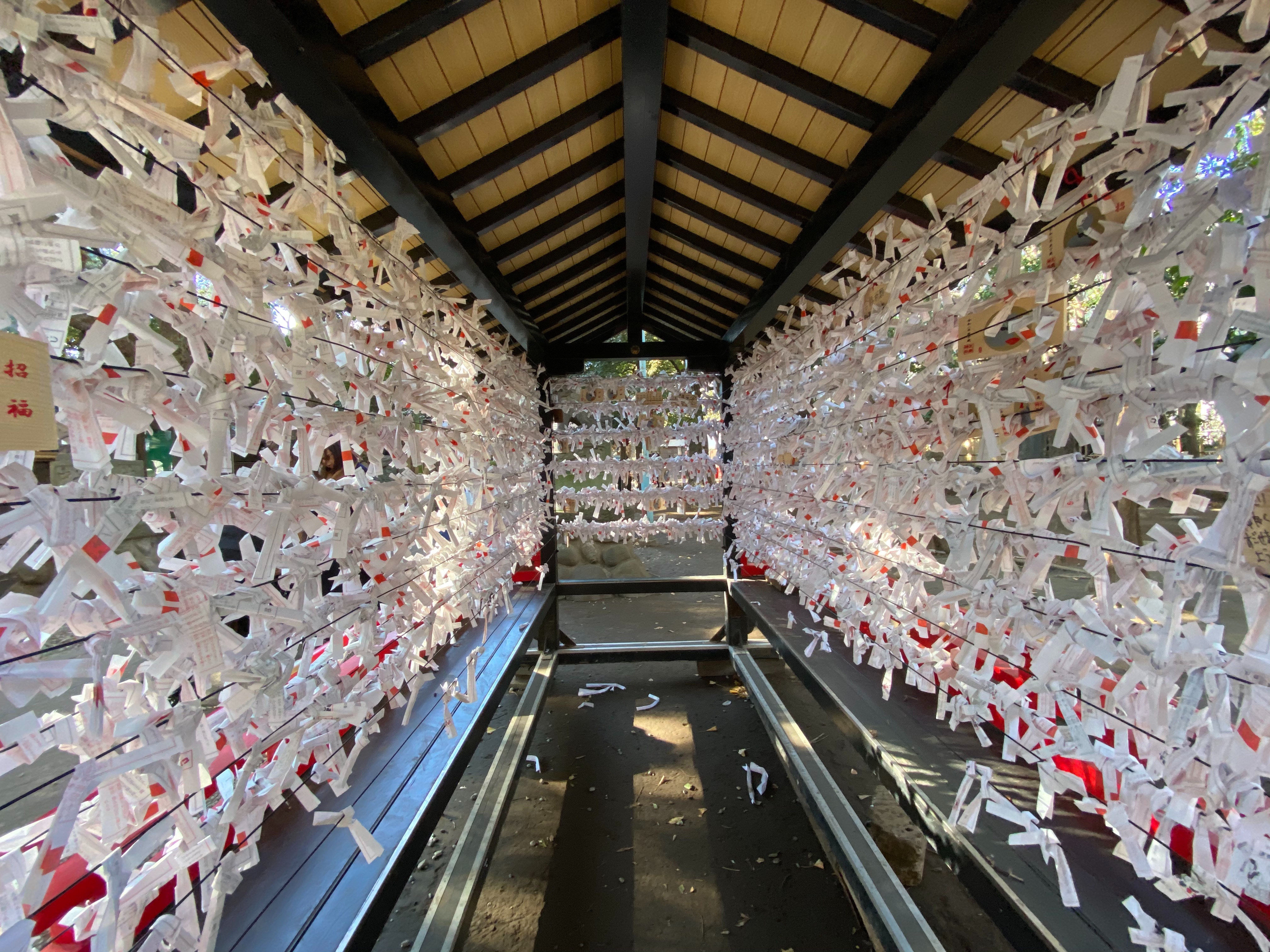 f:id:yoyorinrinyuyu:20200105220952j:image