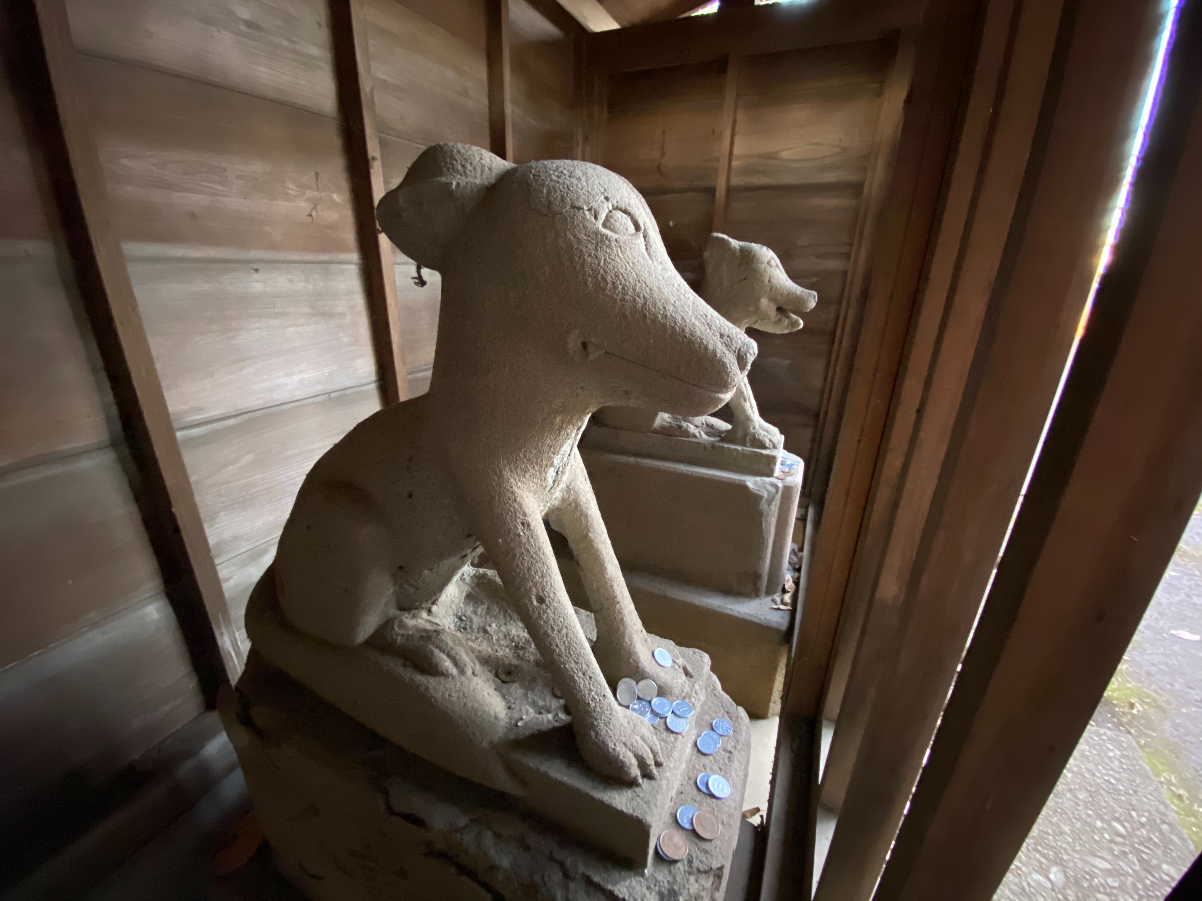 f:id:yoyorinrinyuyu:20200105221340j:image