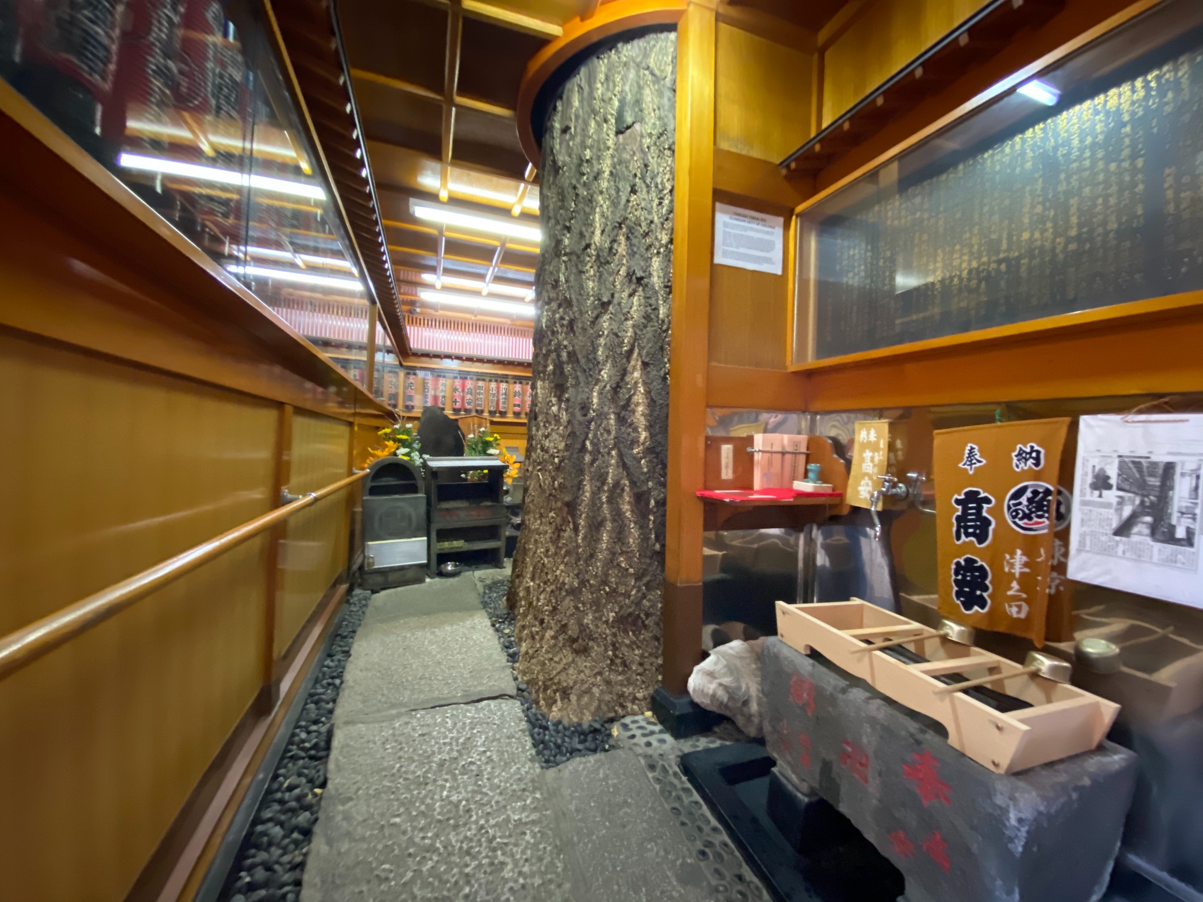 f:id:yoyorinrinyuyu:20200222081624j:image