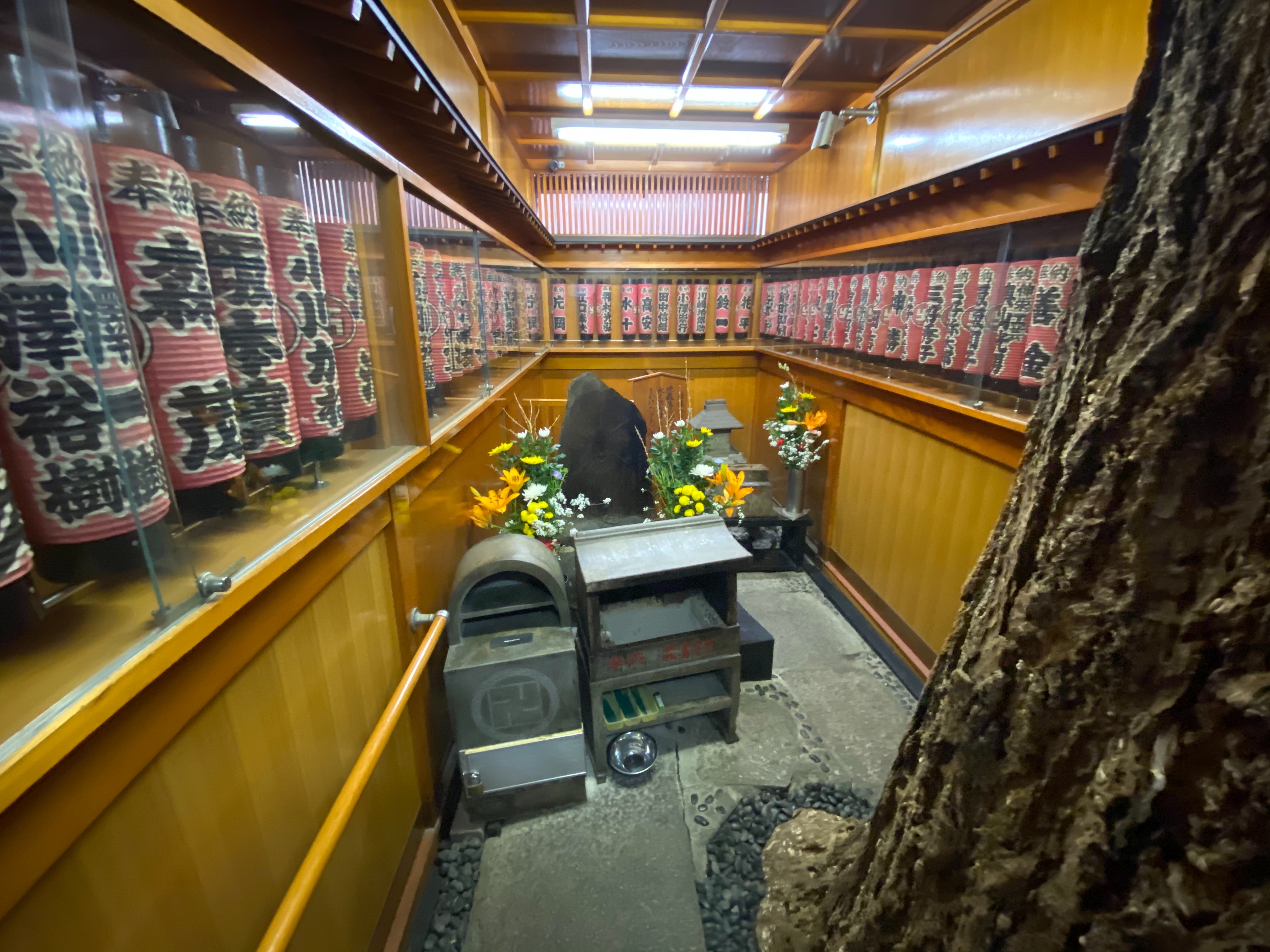 f:id:yoyorinrinyuyu:20200222081718j:image