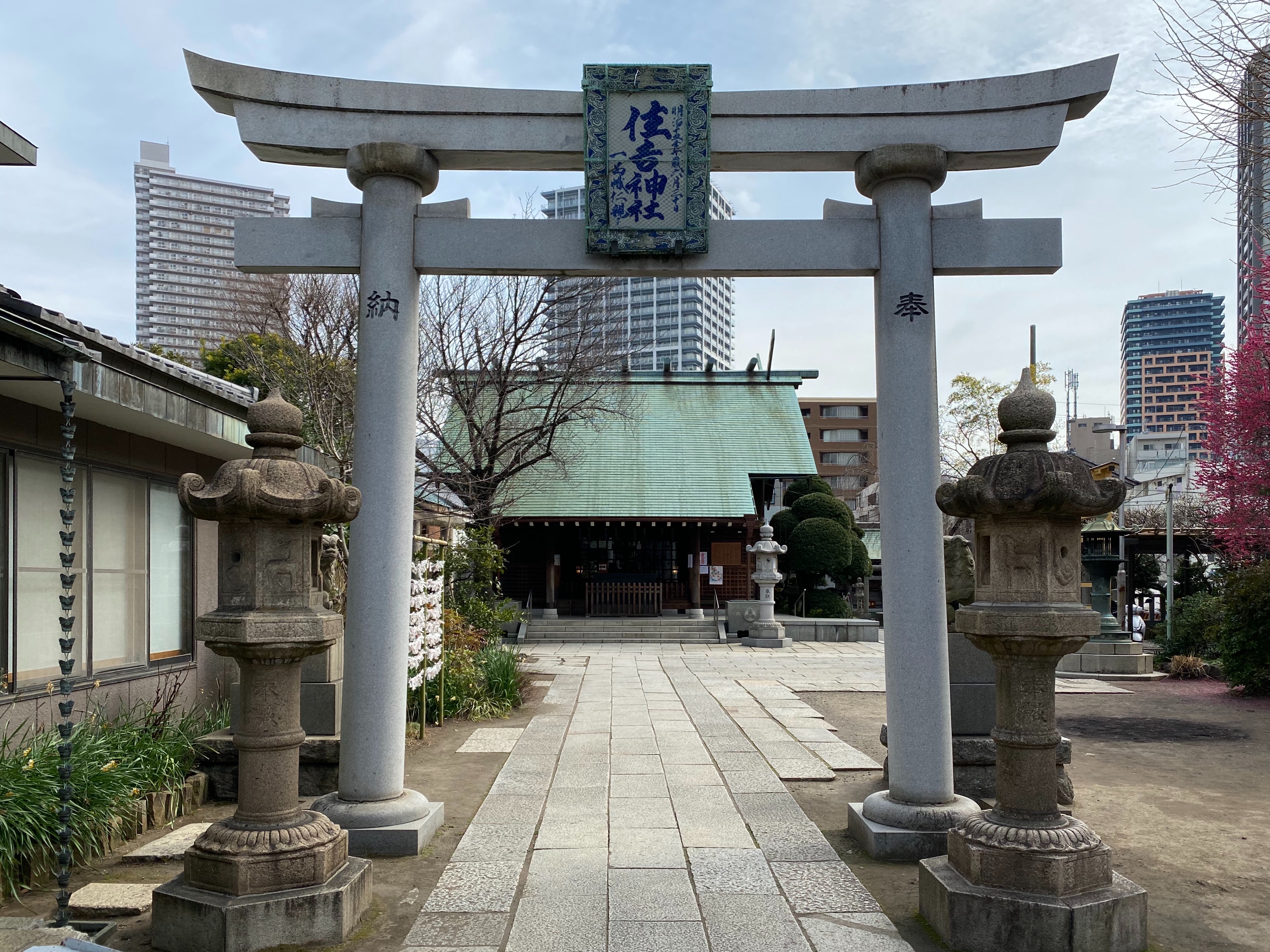 f:id:yoyorinrinyuyu:20200222082706j:image