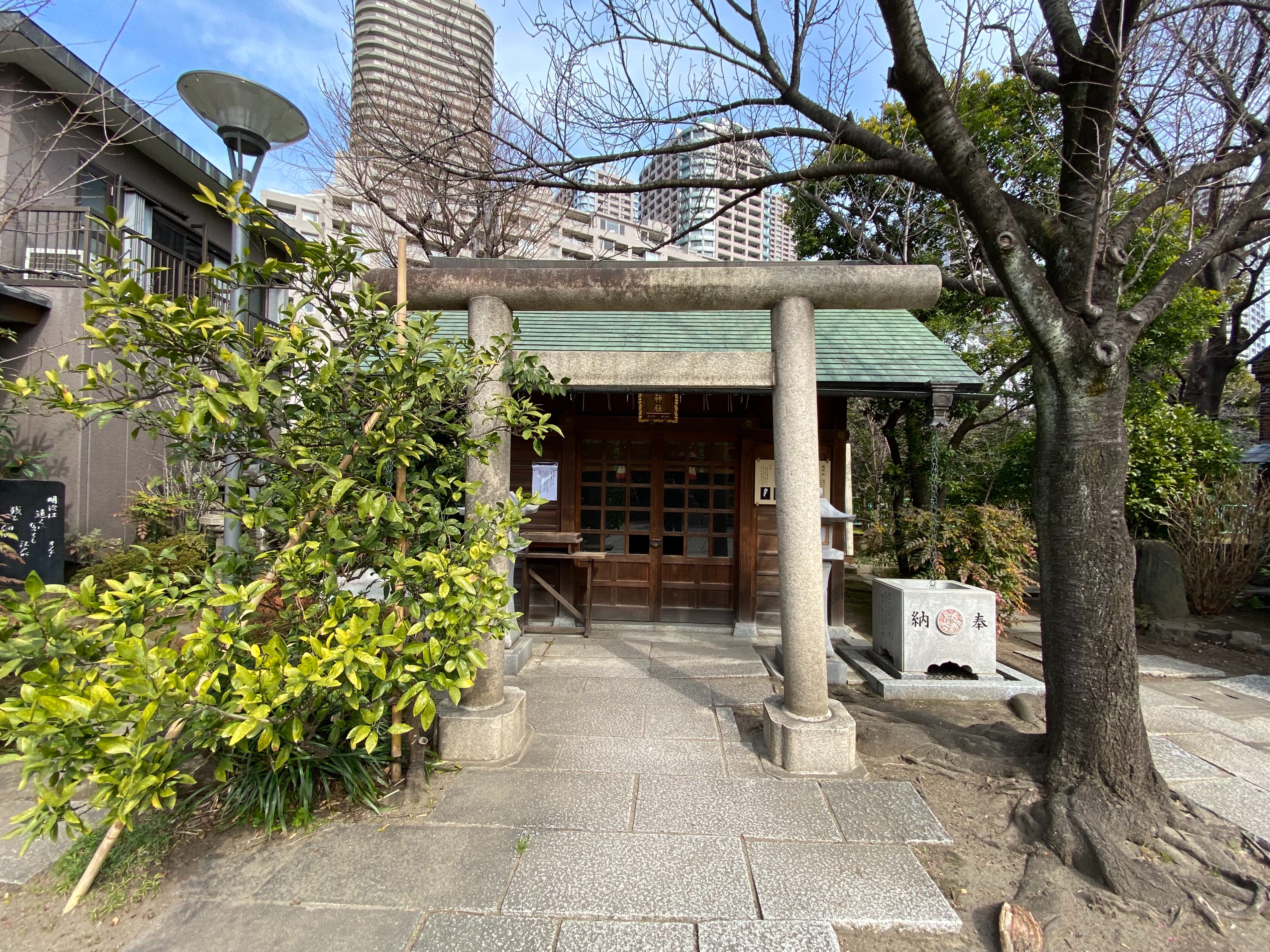 f:id:yoyorinrinyuyu:20200222082716j:image