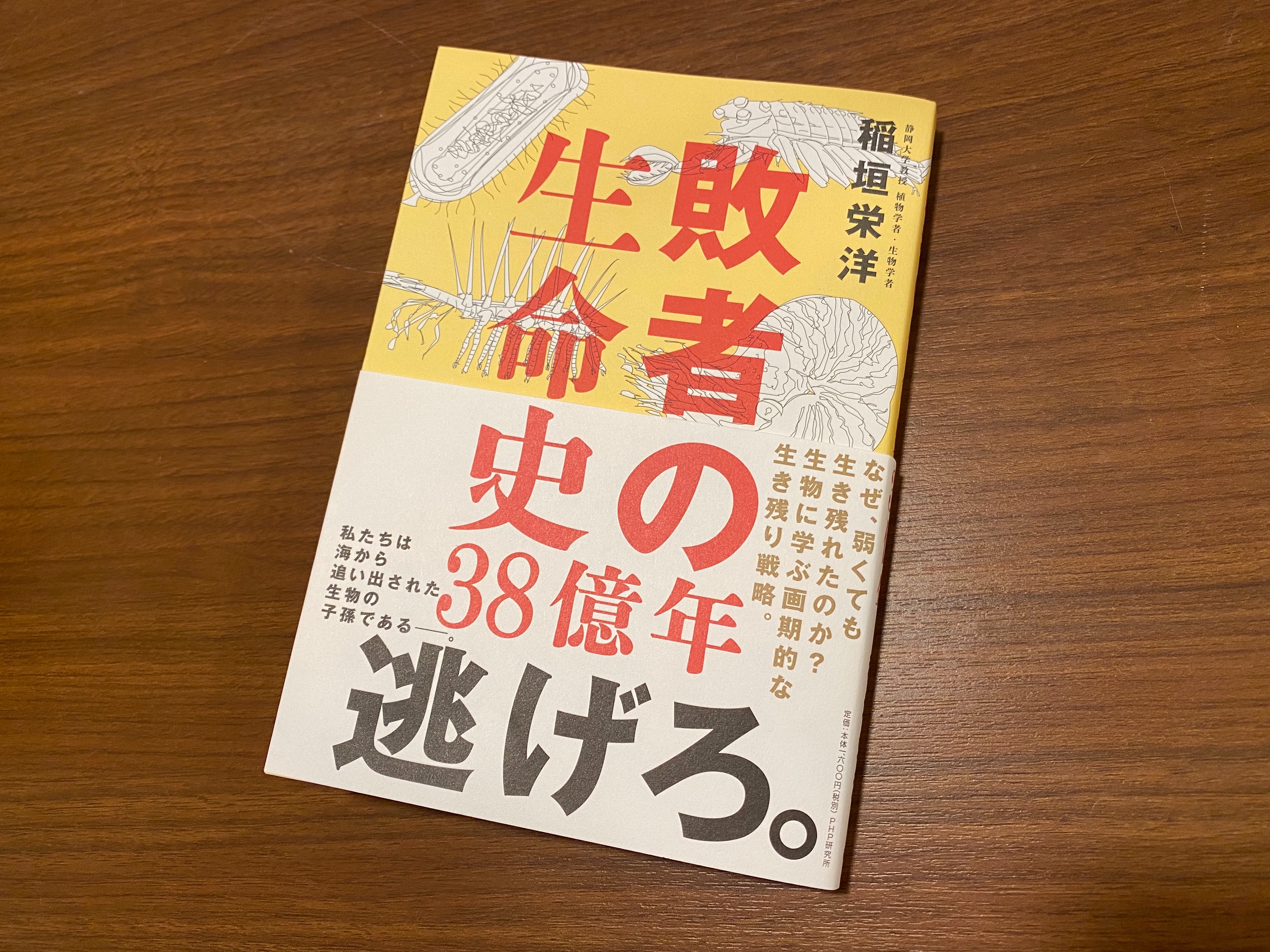 f:id:yoyorinrinyuyu:20200603205612j:image