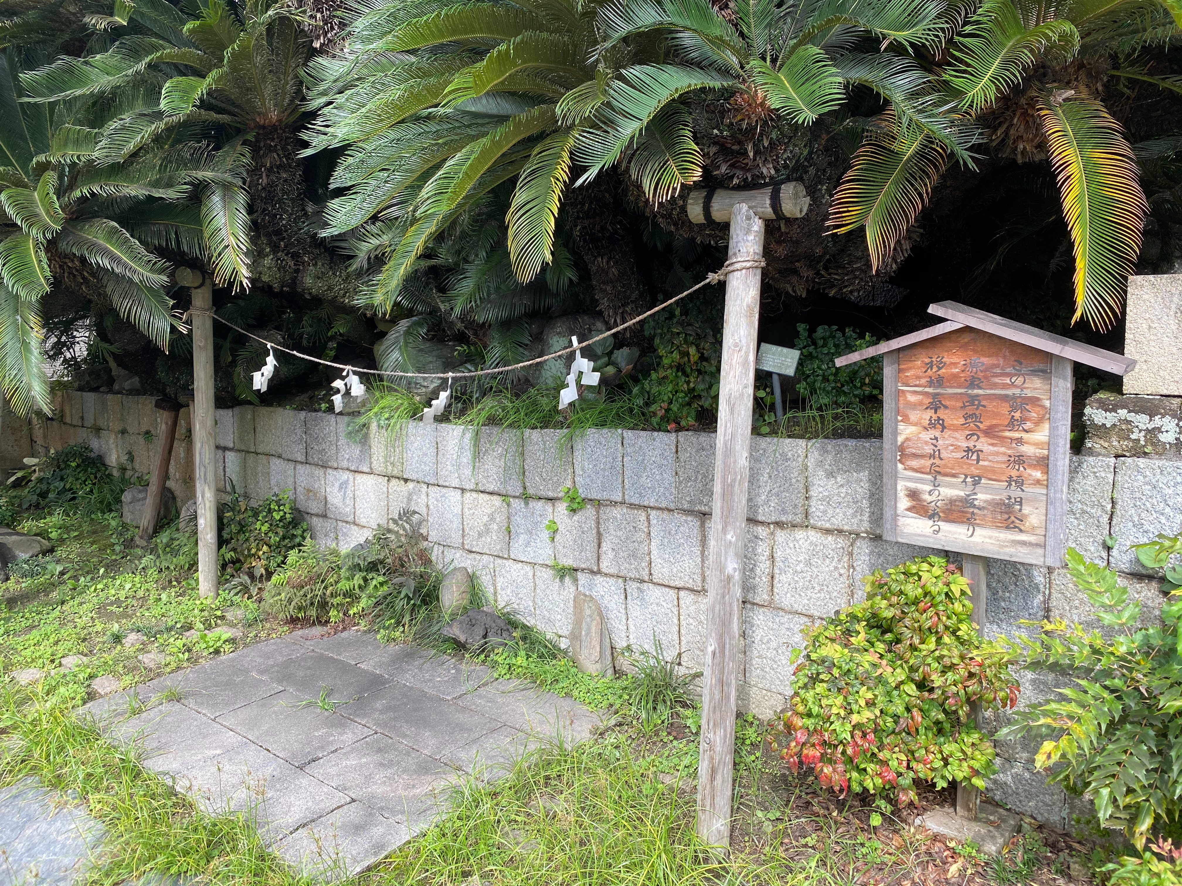 f:id:yoyorinrinyuyu:20201022015538j:image