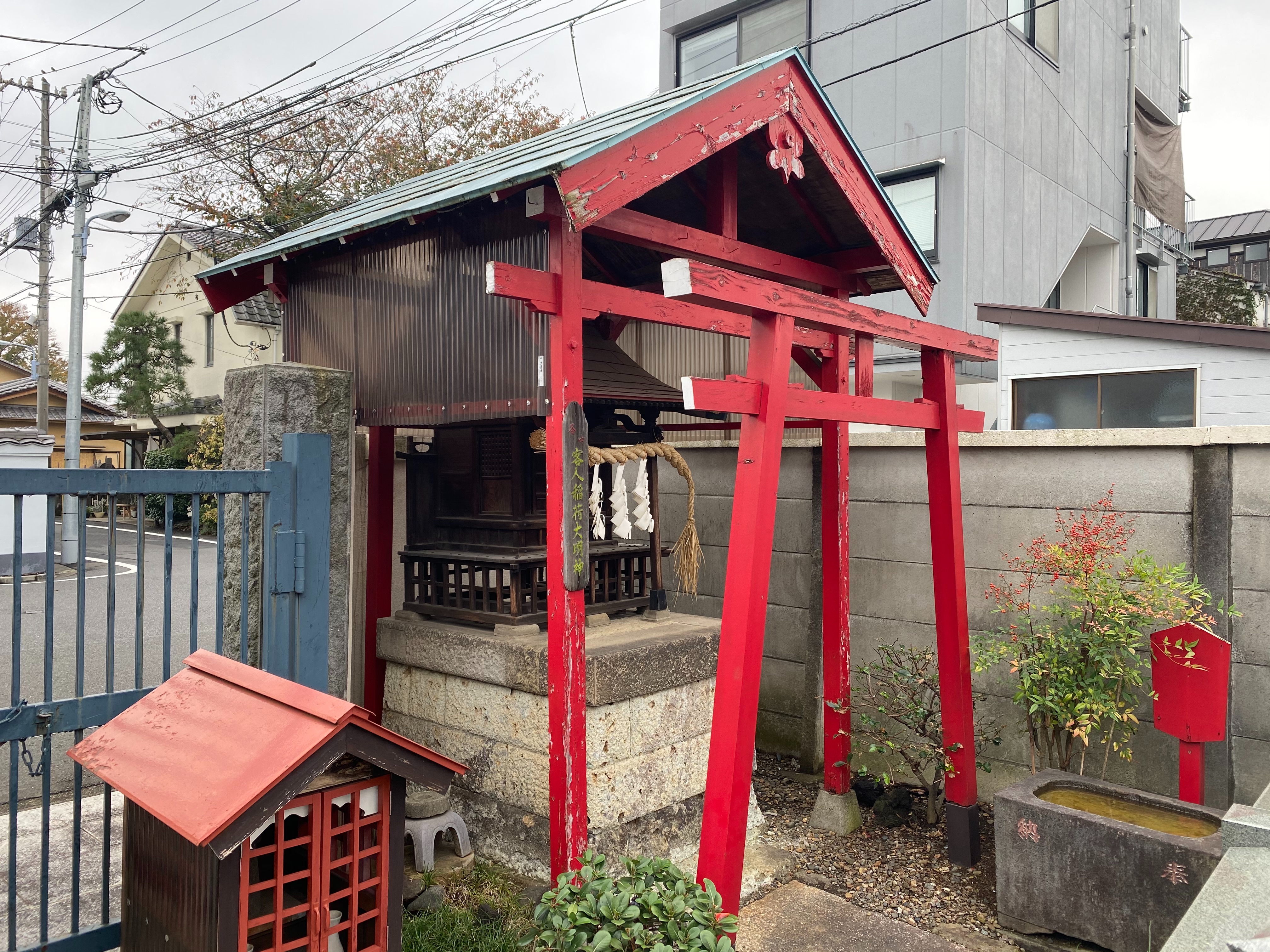 f:id:yoyorinrinyuyu:20201103175945j:image