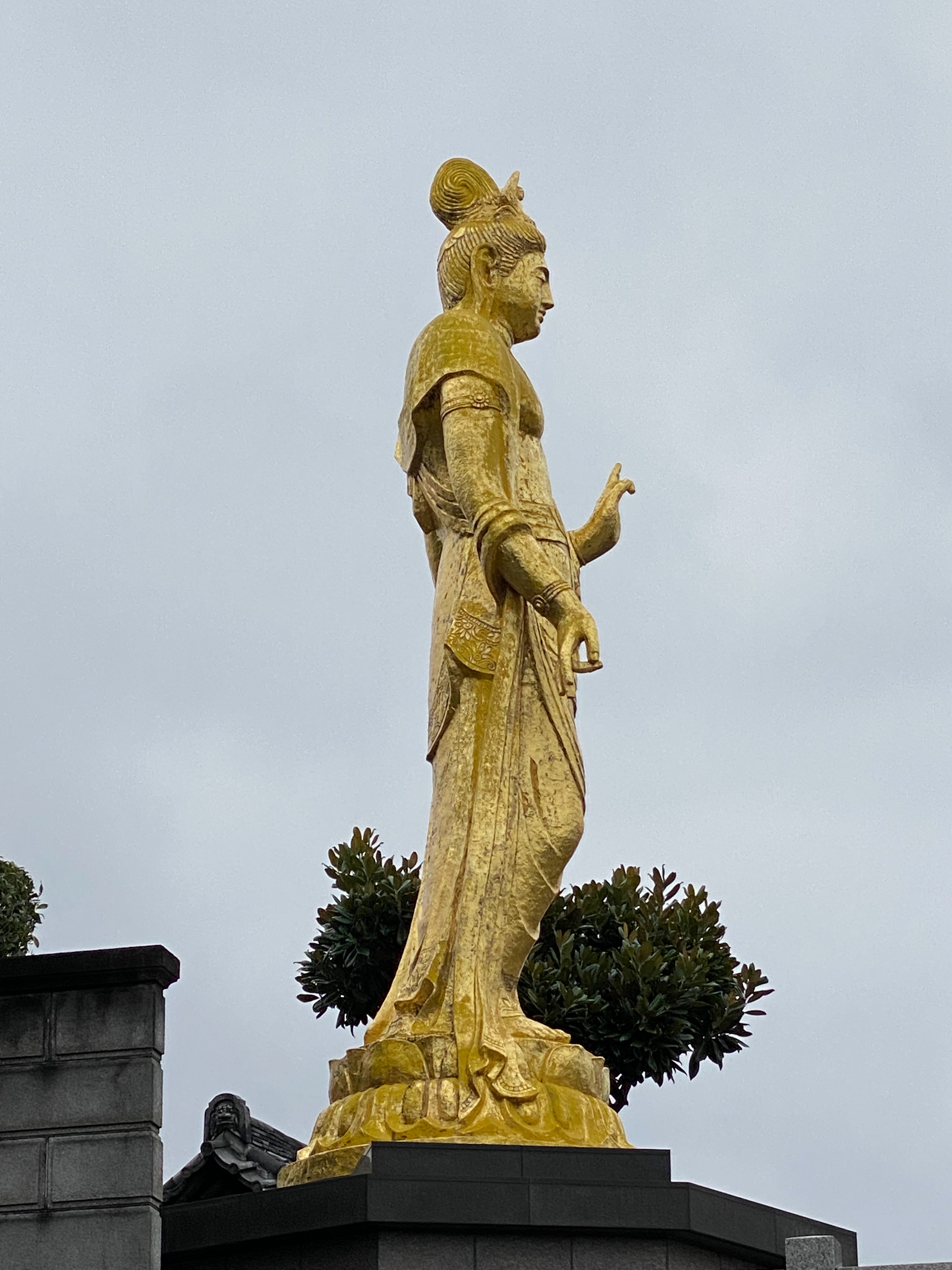 f:id:yoyorinrinyuyu:20201103180522j:image