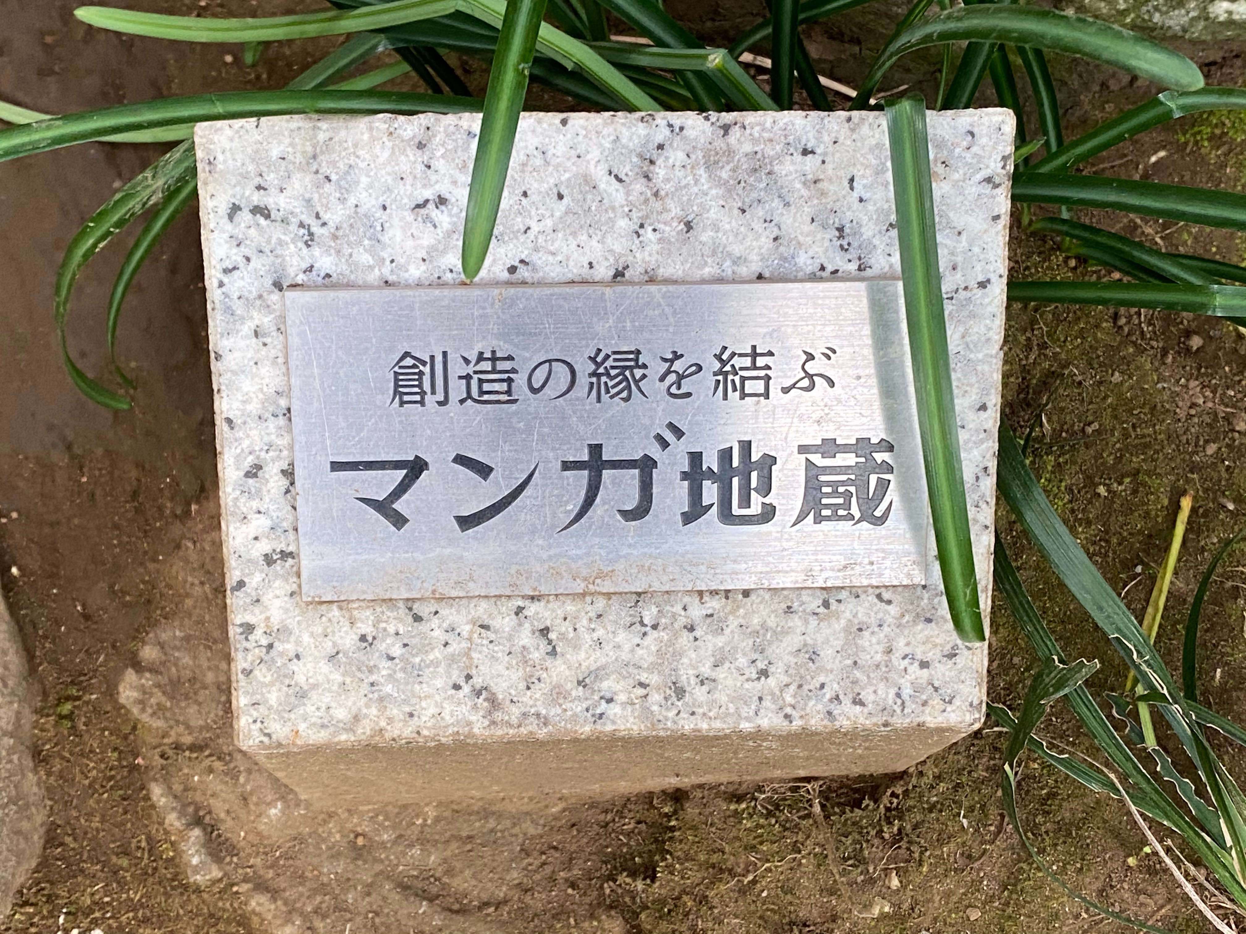f:id:yoyorinrinyuyu:20201212194527j:image