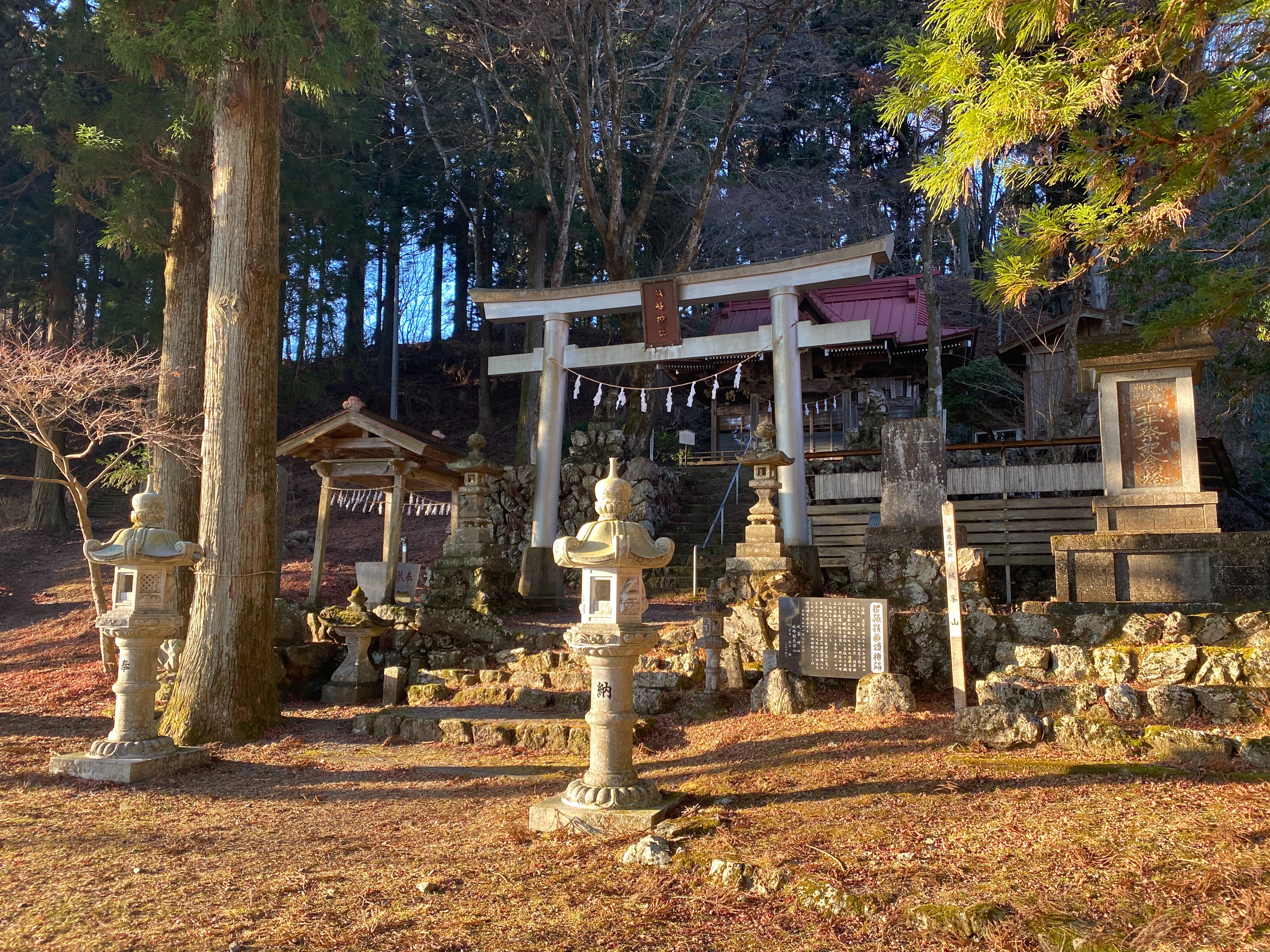 f:id:yoyorinrinyuyu:20201229144453j:image