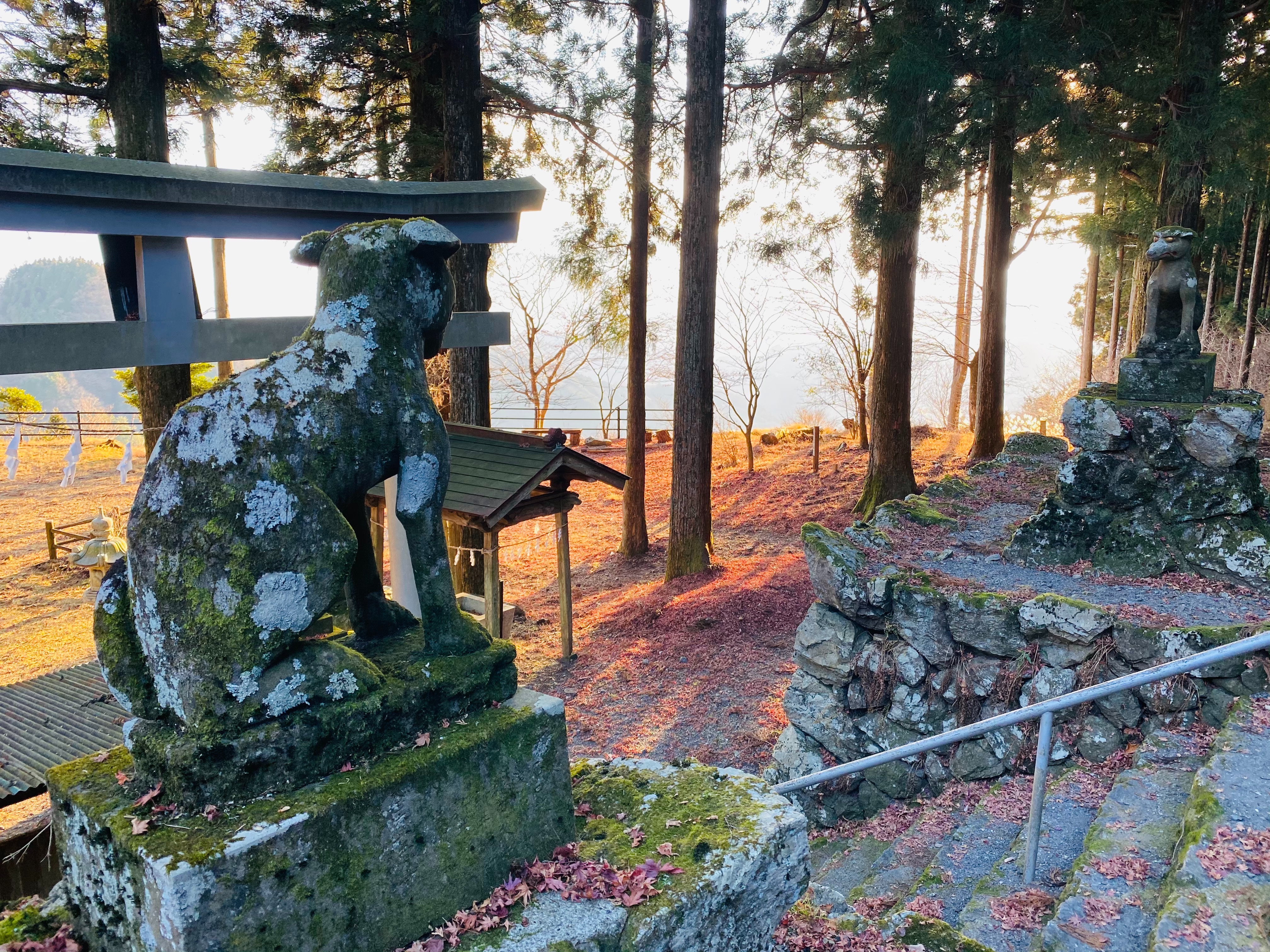 f:id:yoyorinrinyuyu:20201229144750j:image