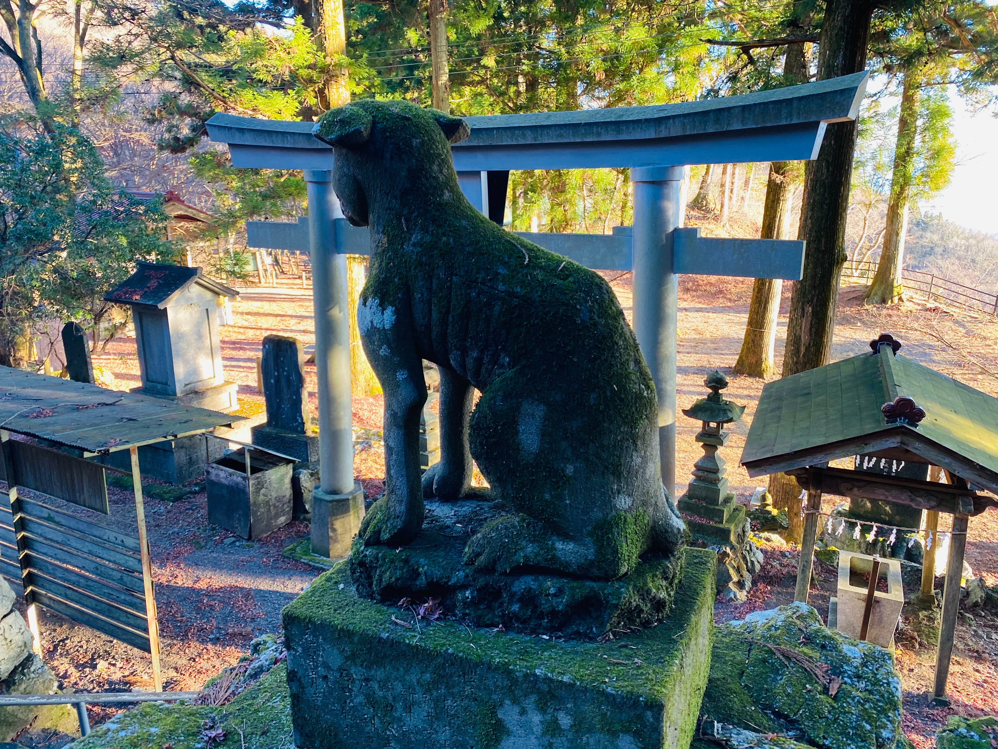 f:id:yoyorinrinyuyu:20201229144801j:image