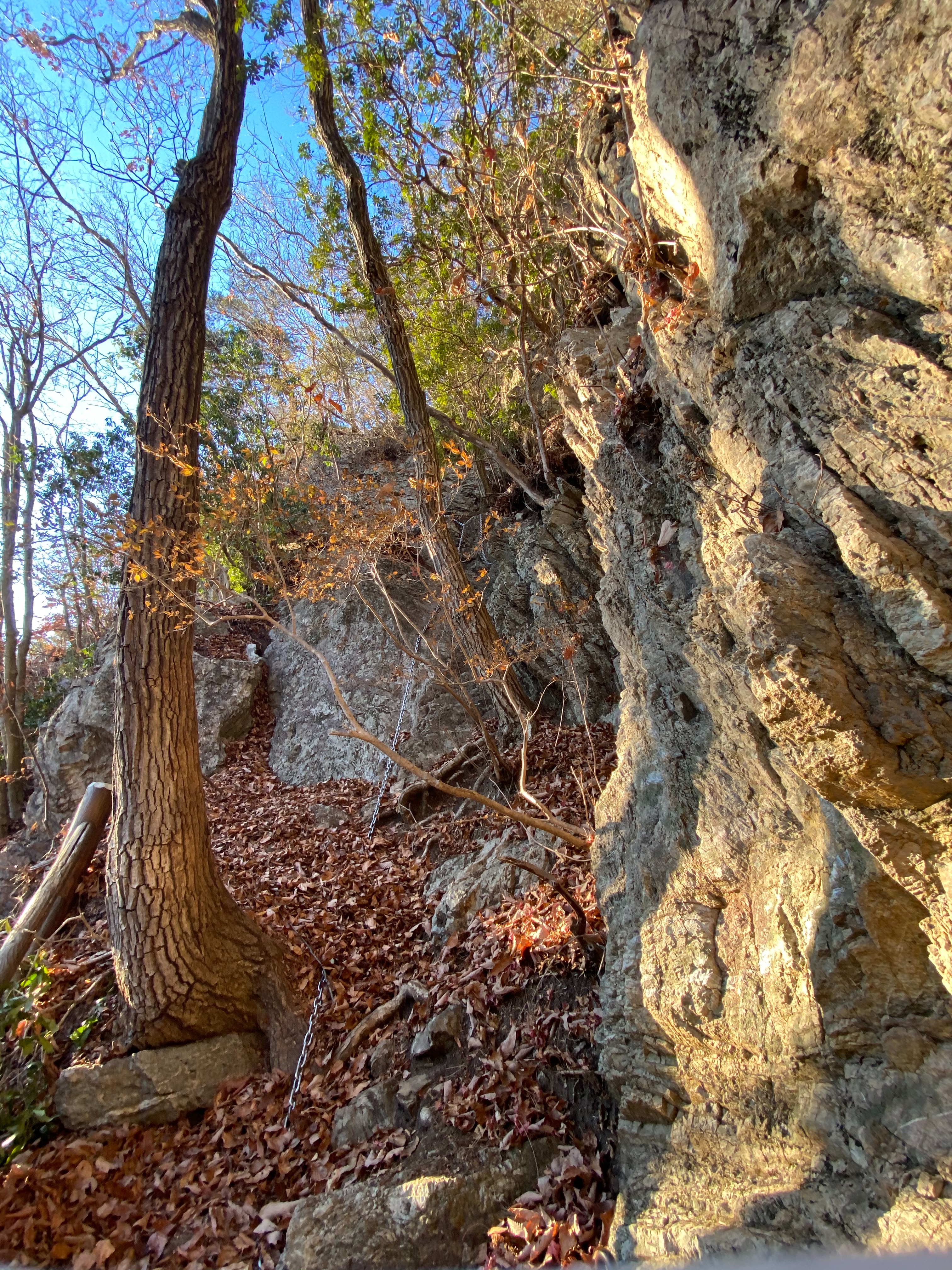 f:id:yoyorinrinyuyu:20201229144813j:image