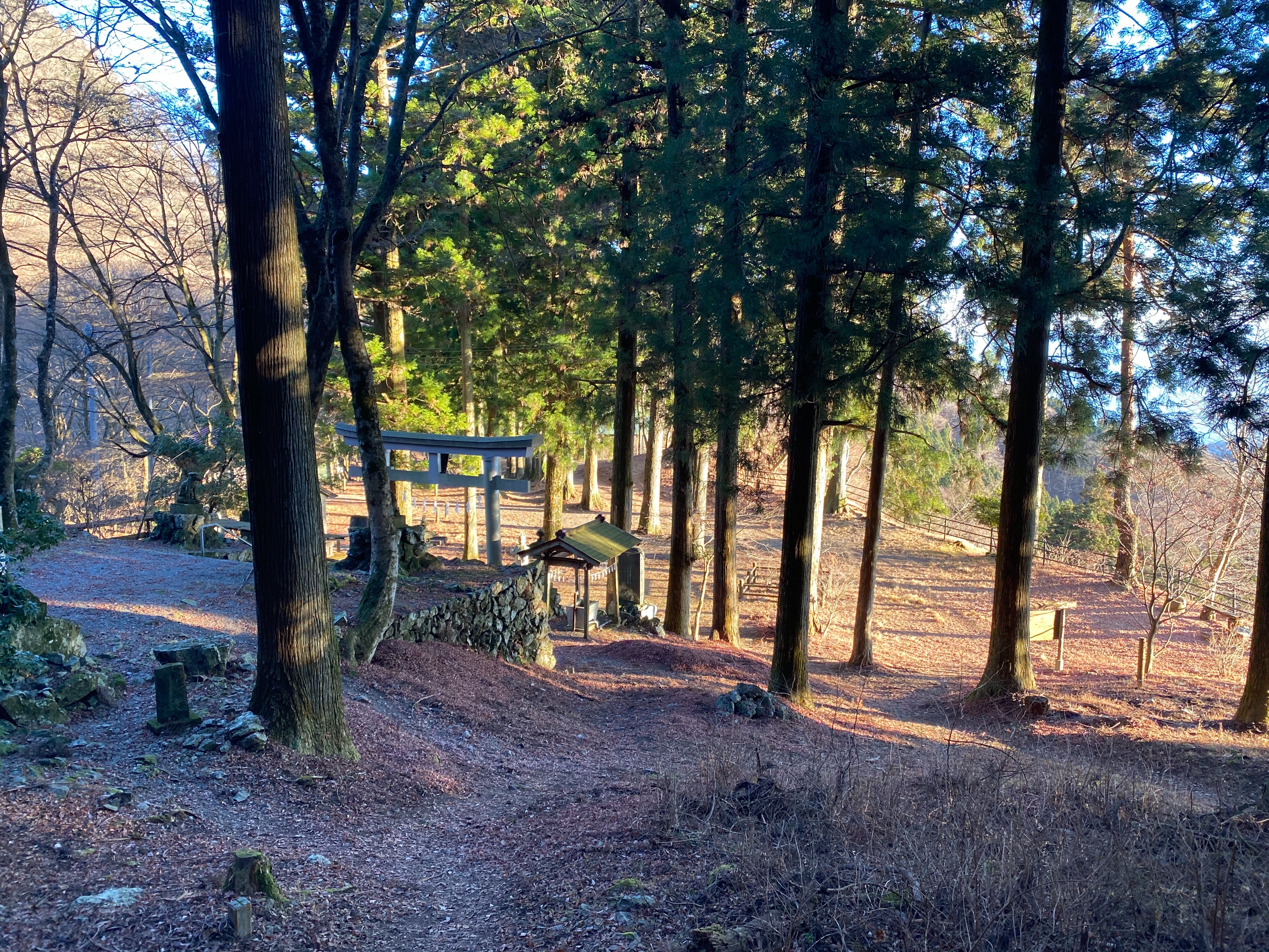 f:id:yoyorinrinyuyu:20201229144824j:image